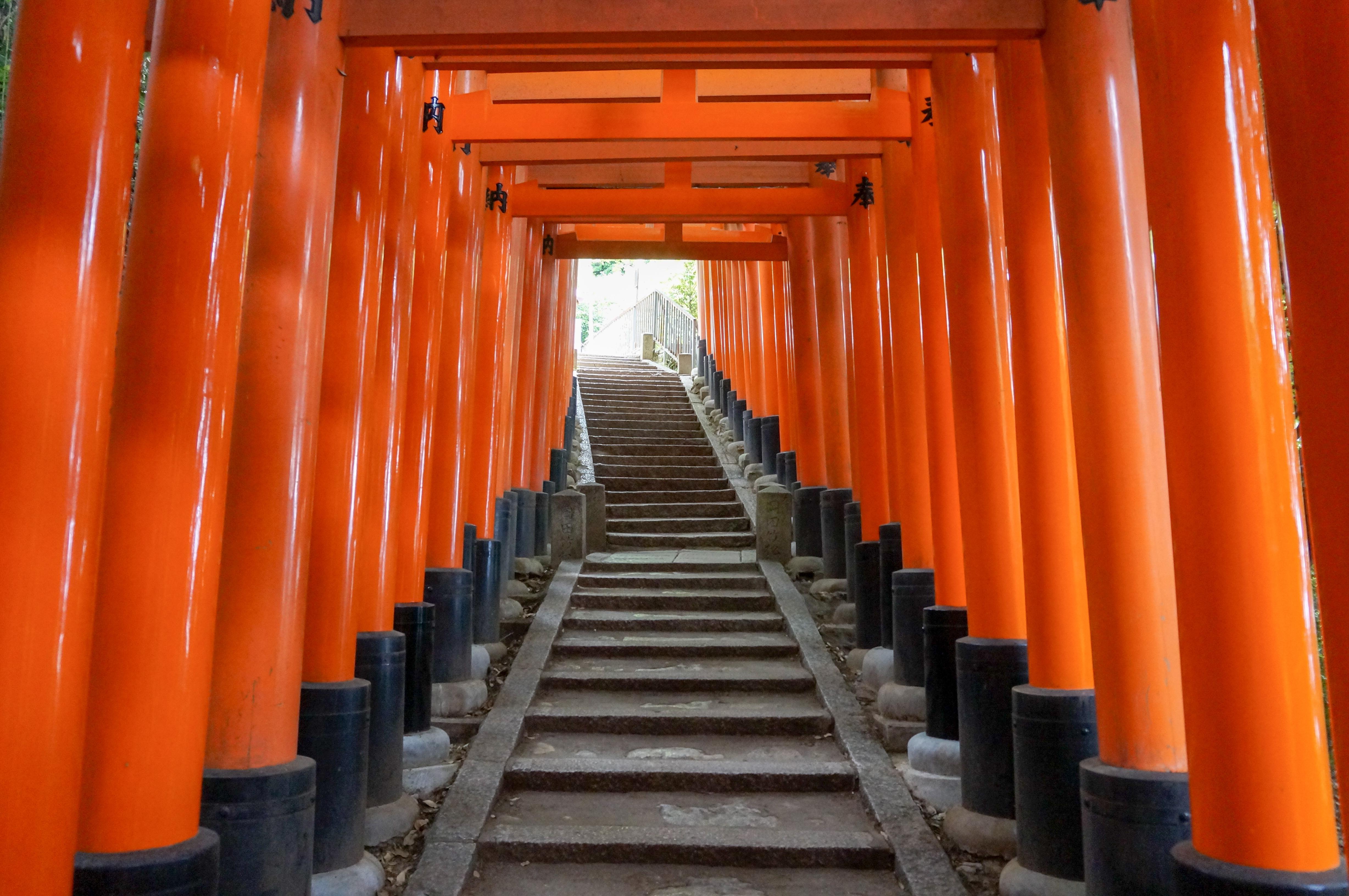 Kyoto & Arashiyama Cultural Explorer Day Trip