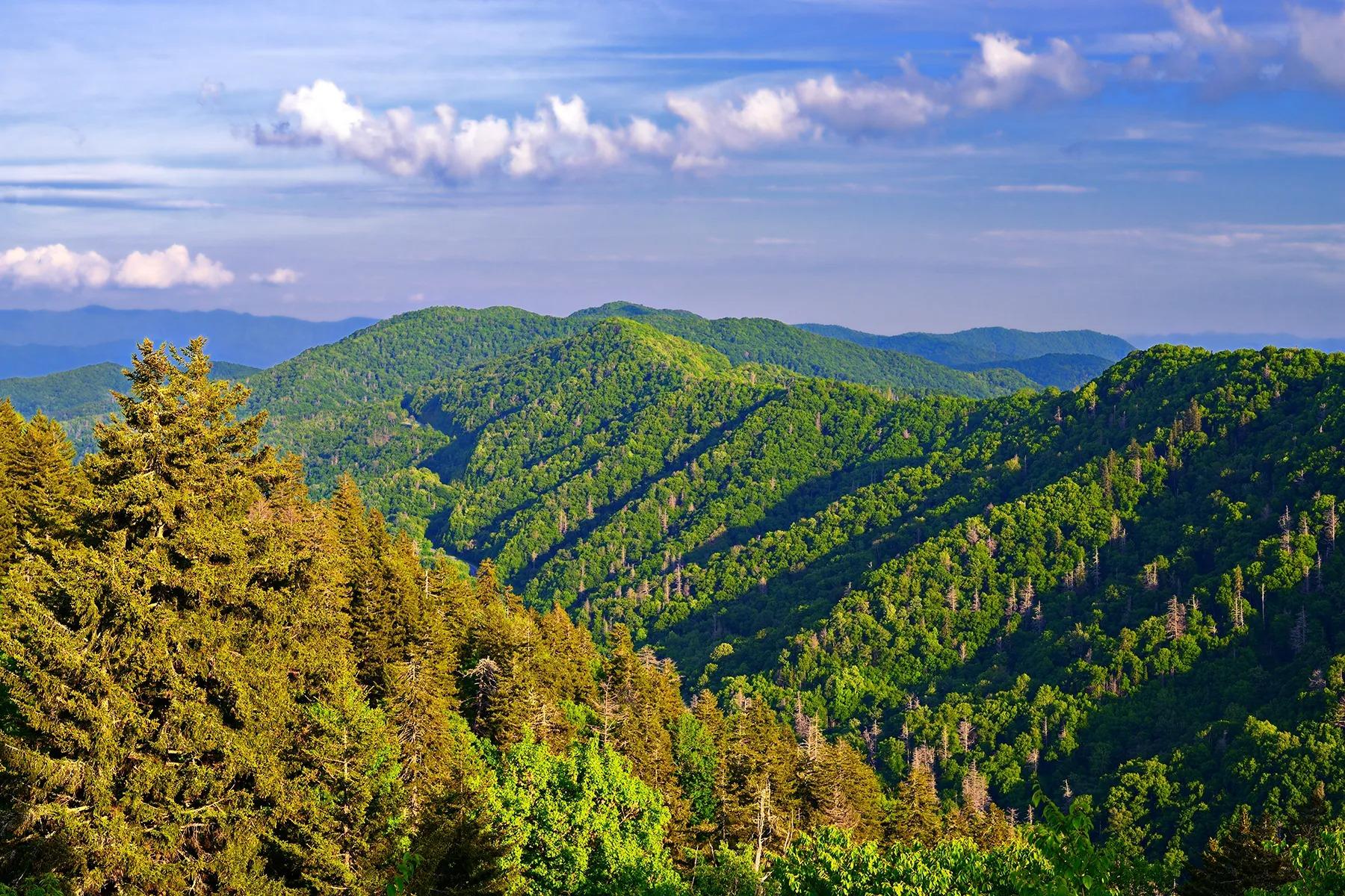 Newfound Gap Smoky Mountains Jeep Tour