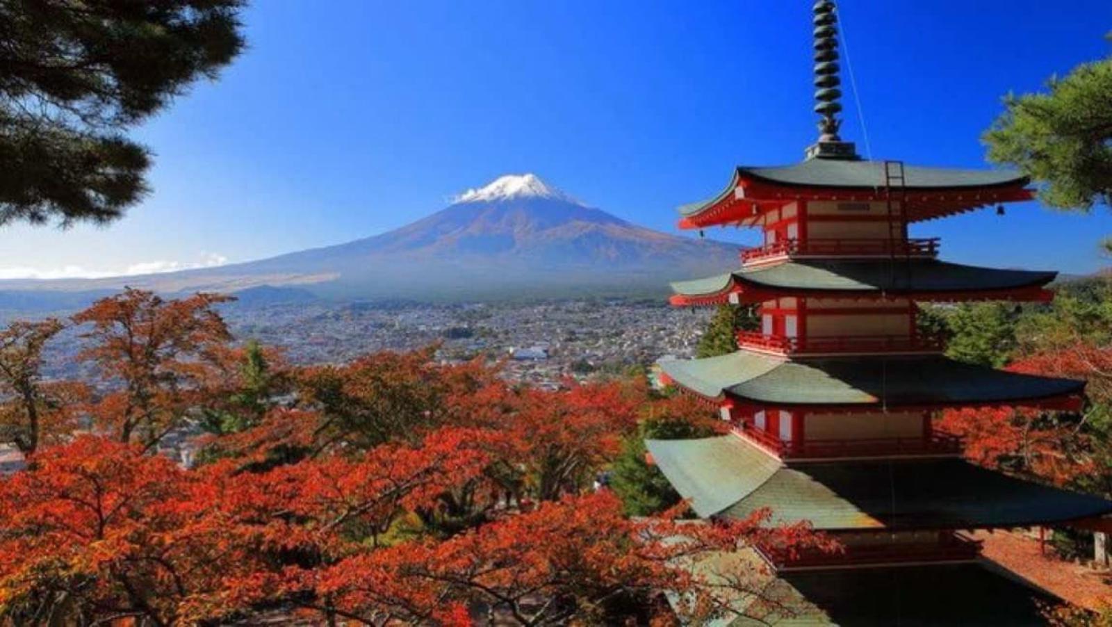 Private Mount Fuji & Hakone Guided Day Tour