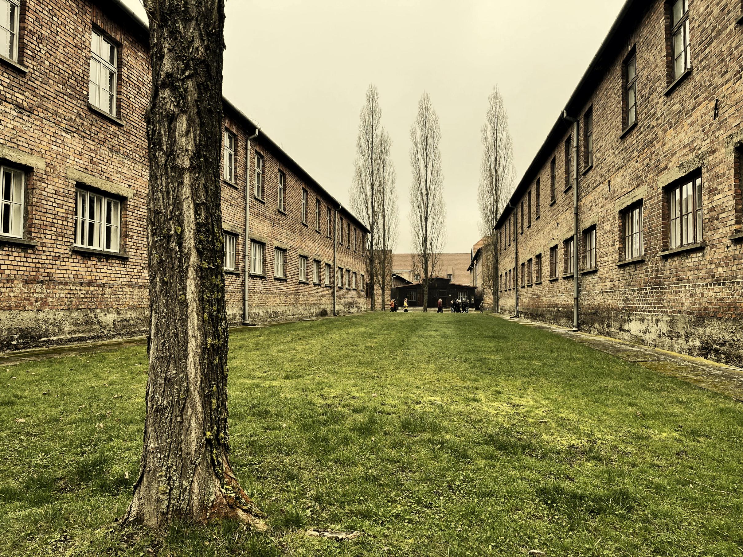Krakow to Auschwitz-Birkenau Private Chauffeur Transfer