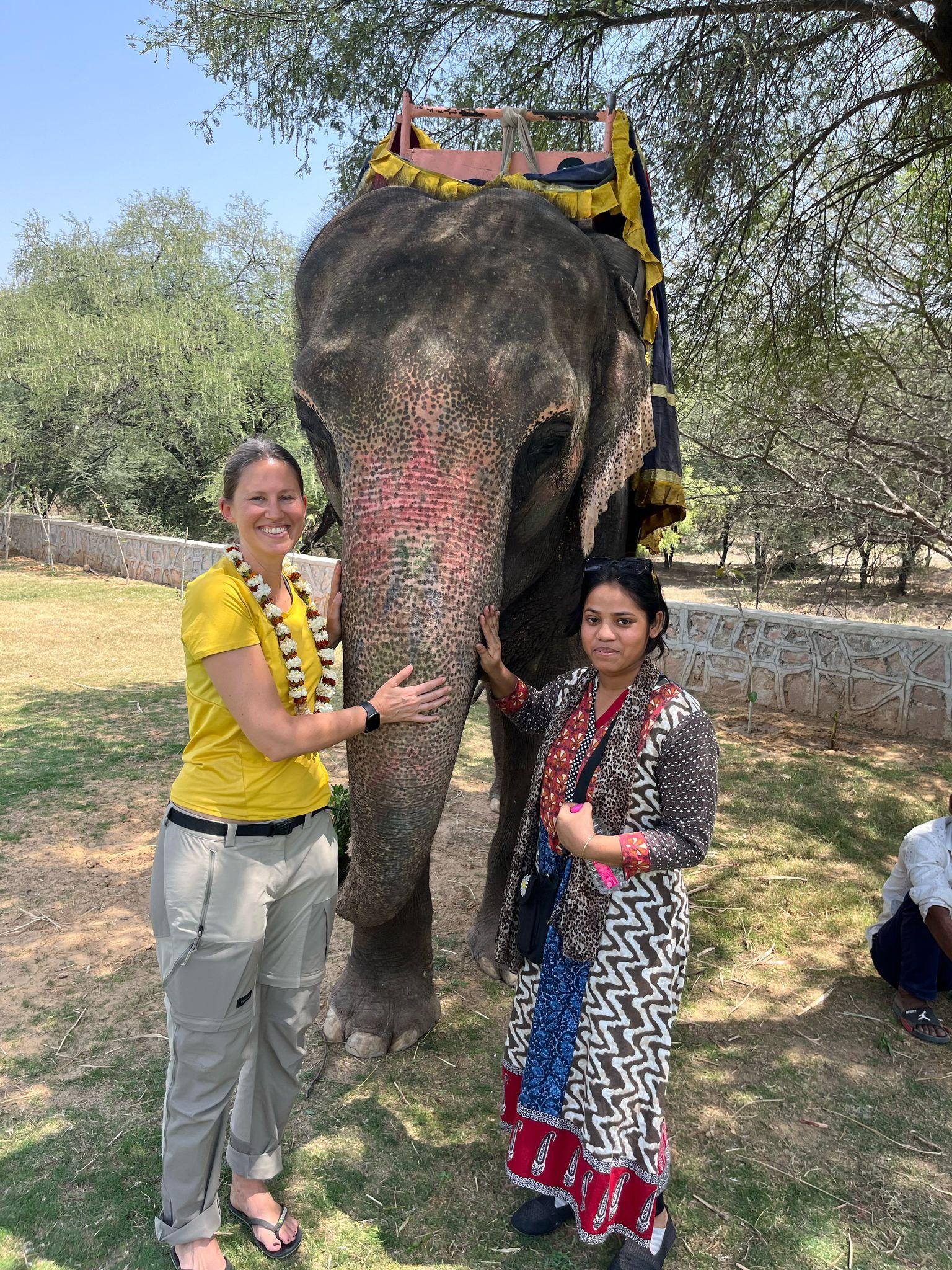 4-Day Golden Triangle & Ranthambore Private Expedition