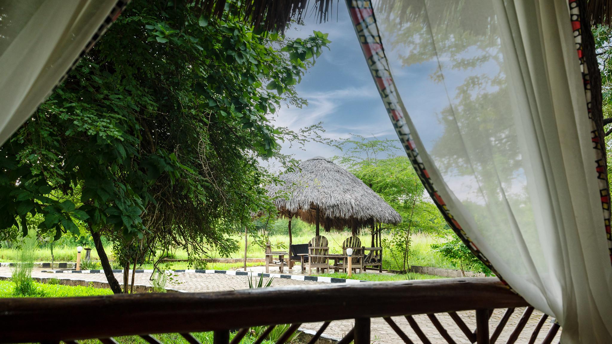 Zanzibar to Selous: 2-Day Safari with Flights & Bush Lunch