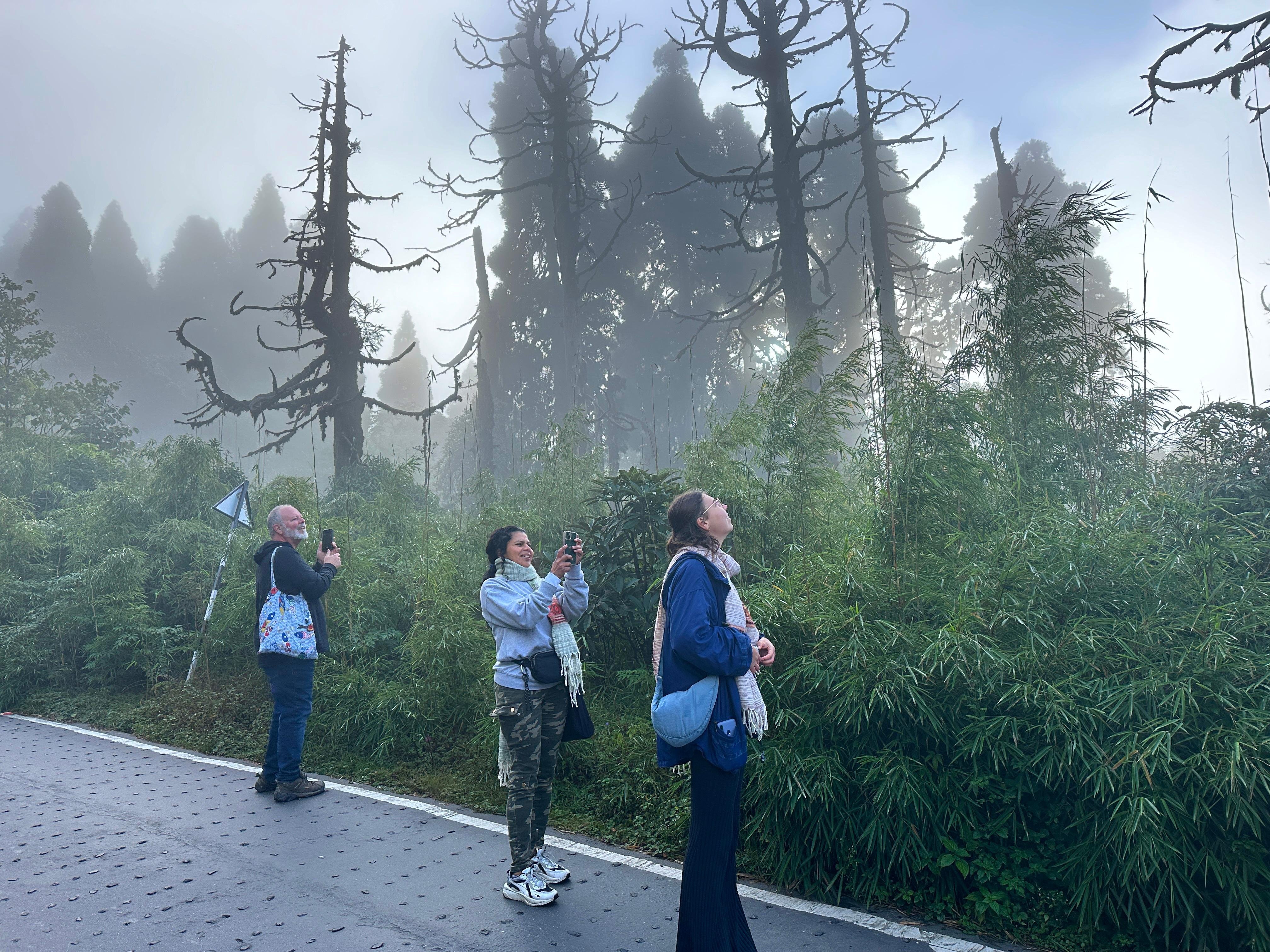 Darjeeling: Tiger Hill Sunrise & Guided Trekking Day Tour