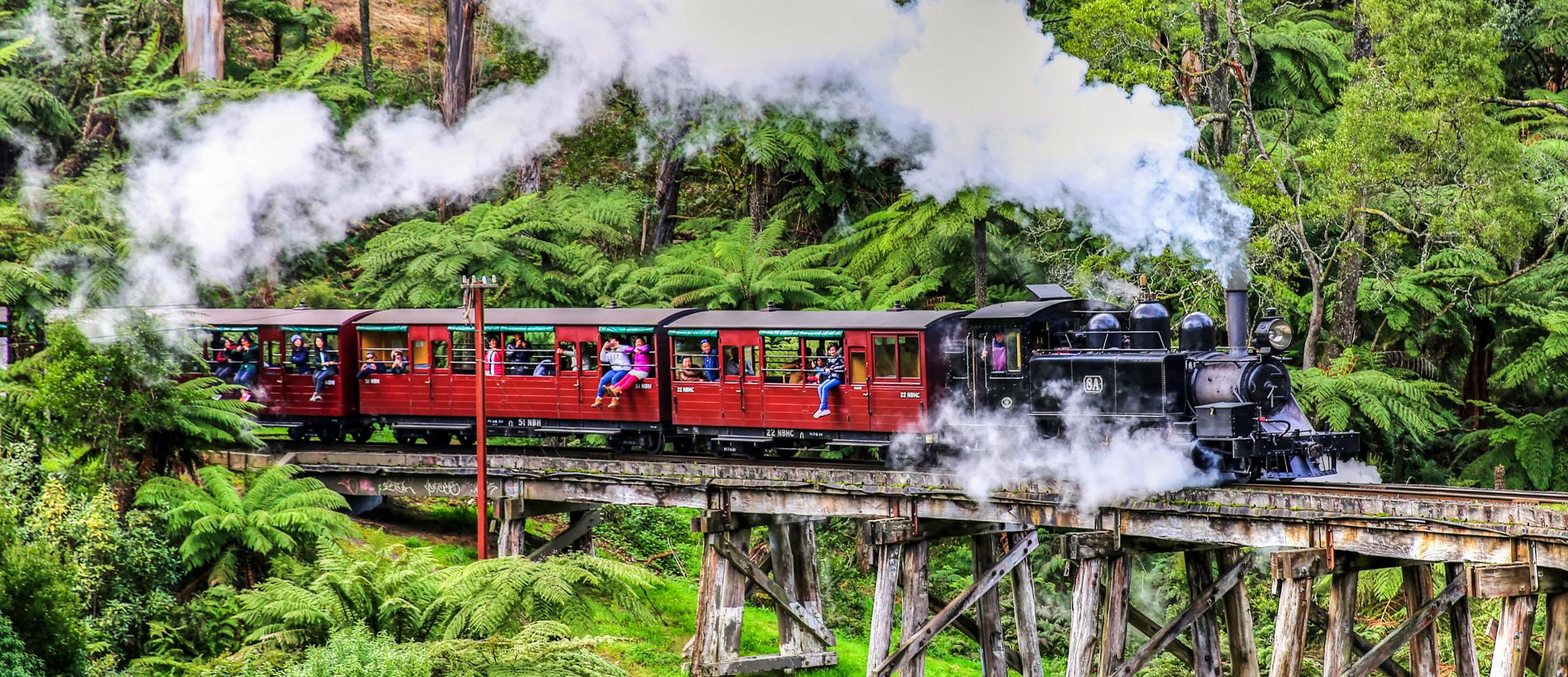 Melbourne: Puffing Billy Steam Train & Healesville Sanctuary Tour