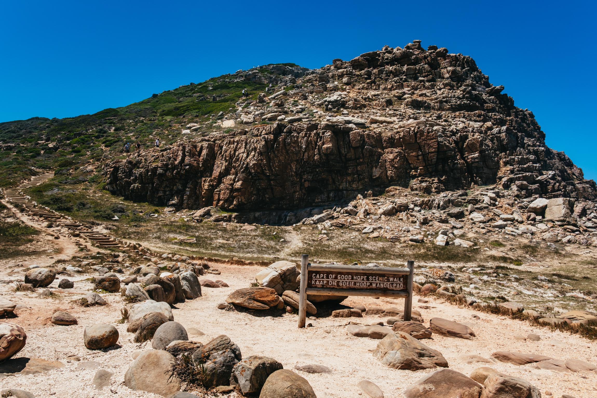 Cape Peninsula & Boulders Penguin Colony Full-Day Tour