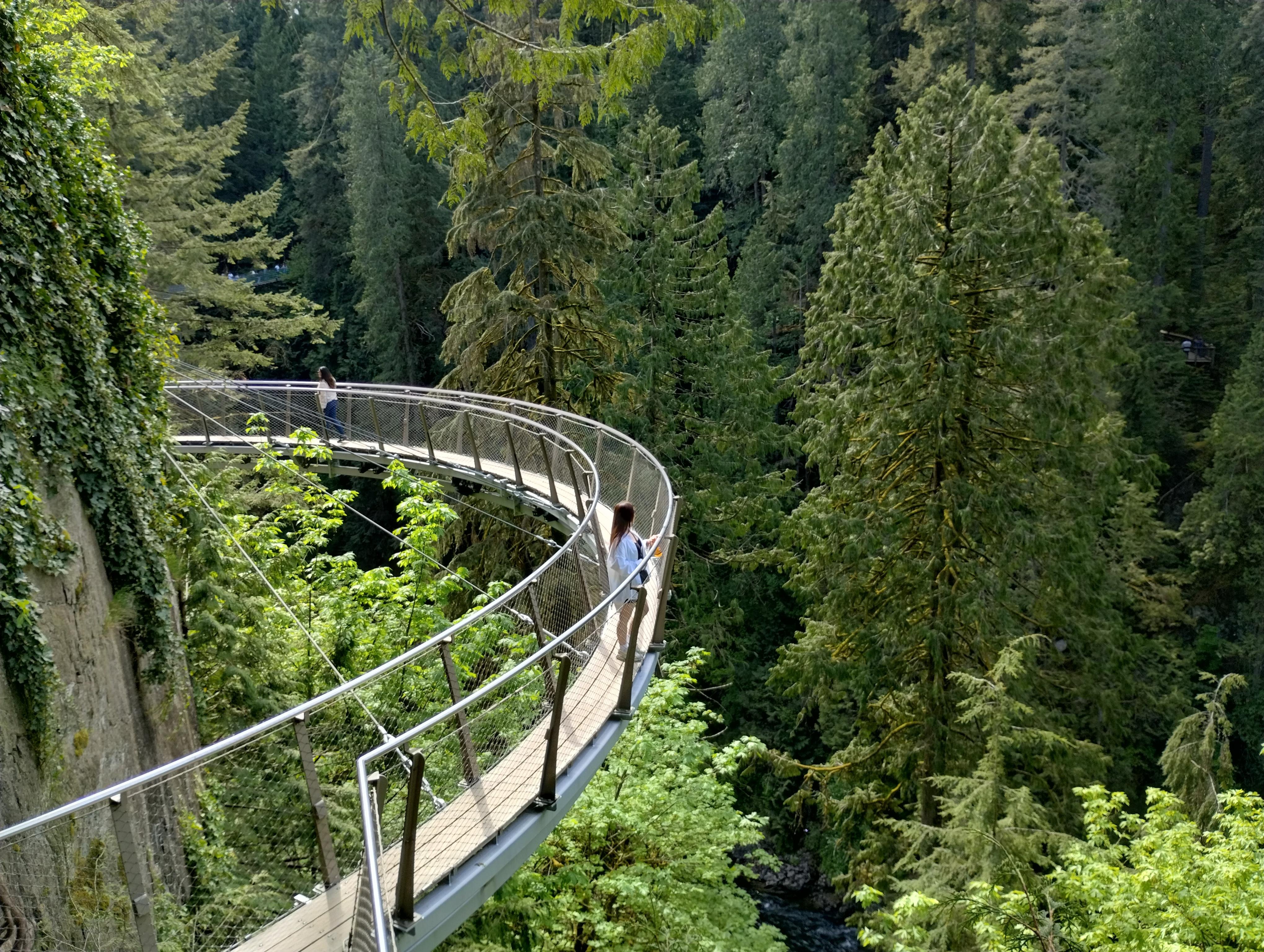 5-in-1 Vancouver Highlights: Grouse Mountain & Capilano Bridge Private Car Tour