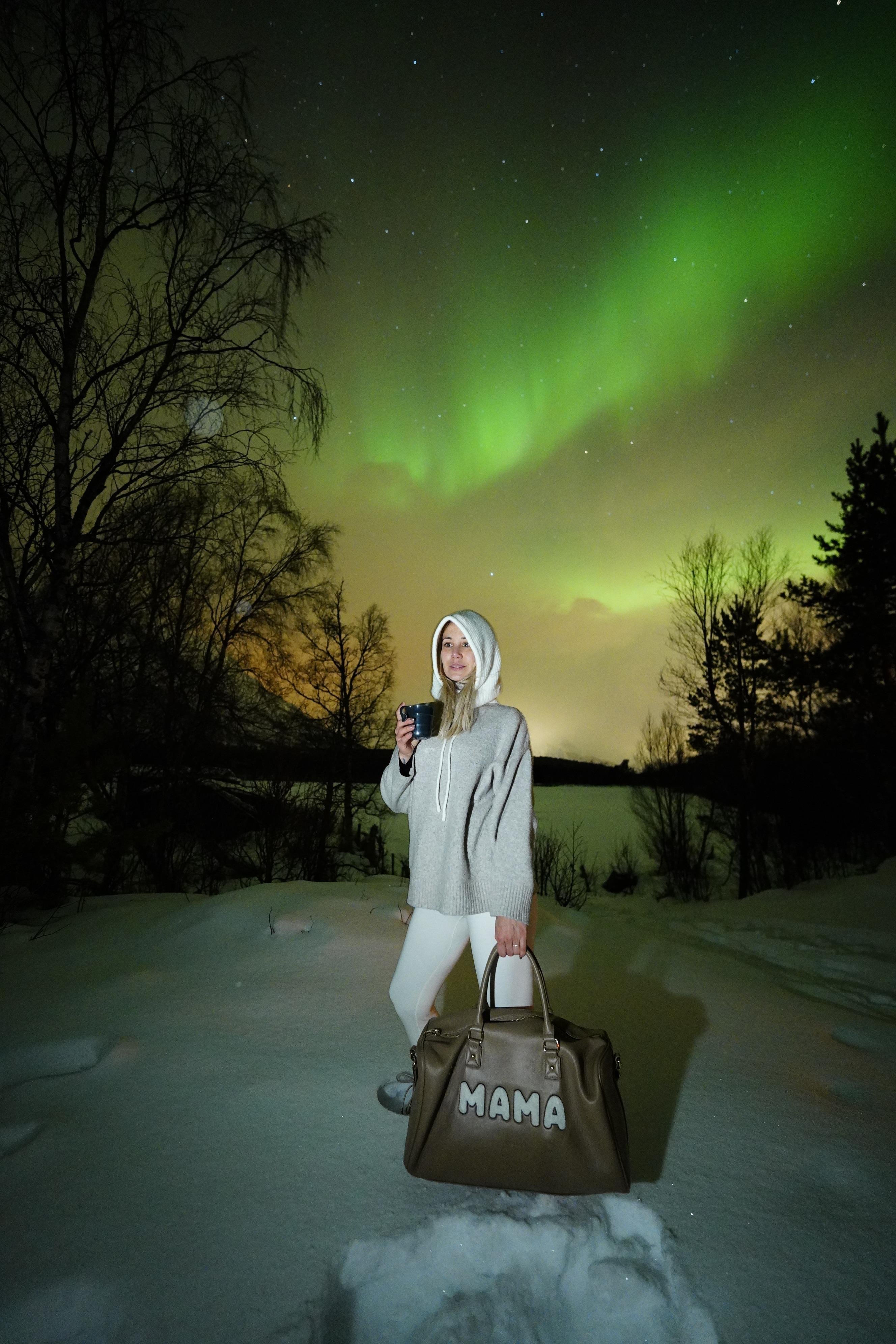 Northern lights tour, image 27