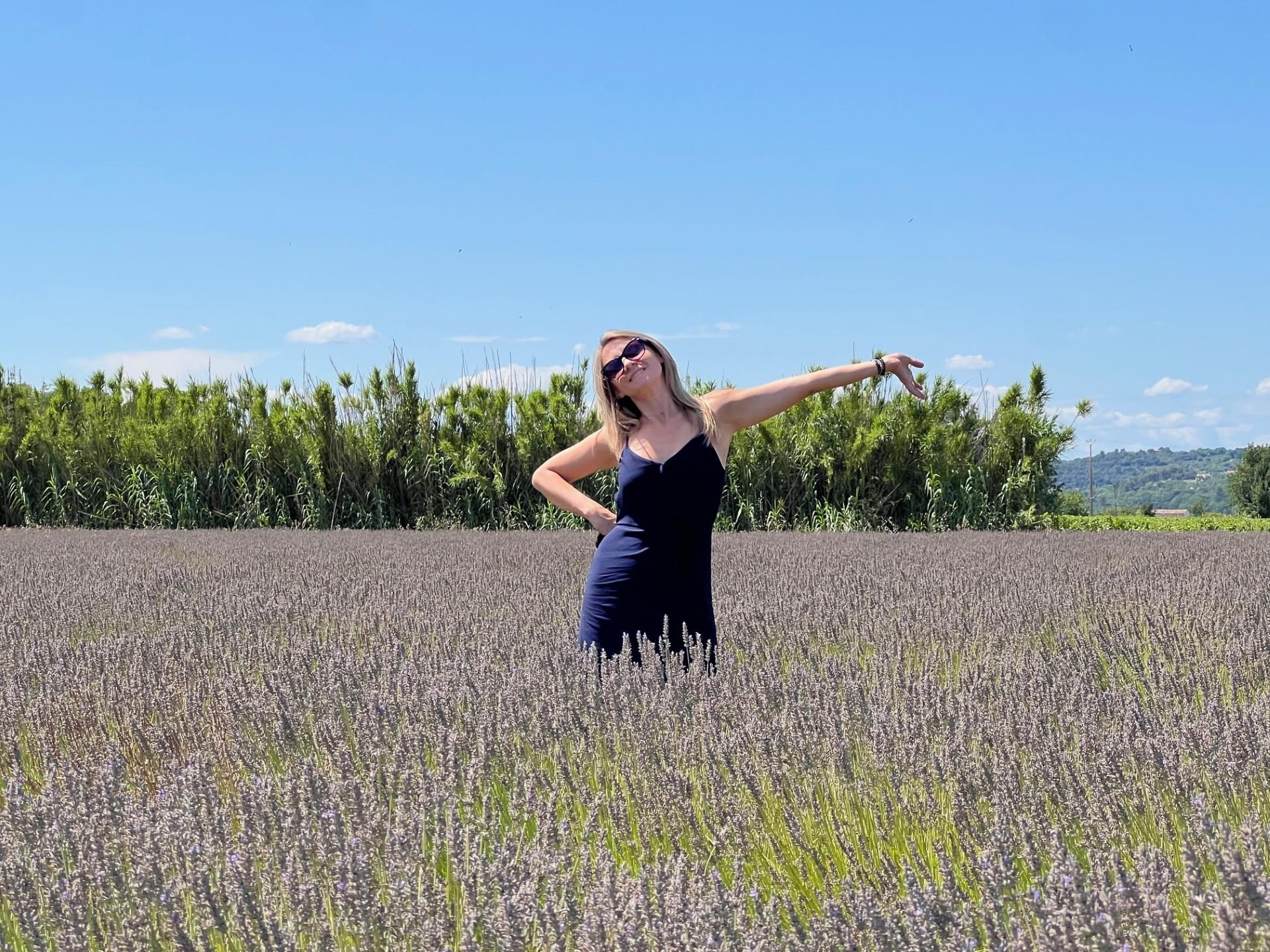 Valensole lavender fields in Provence — guided lavender tour photo 3