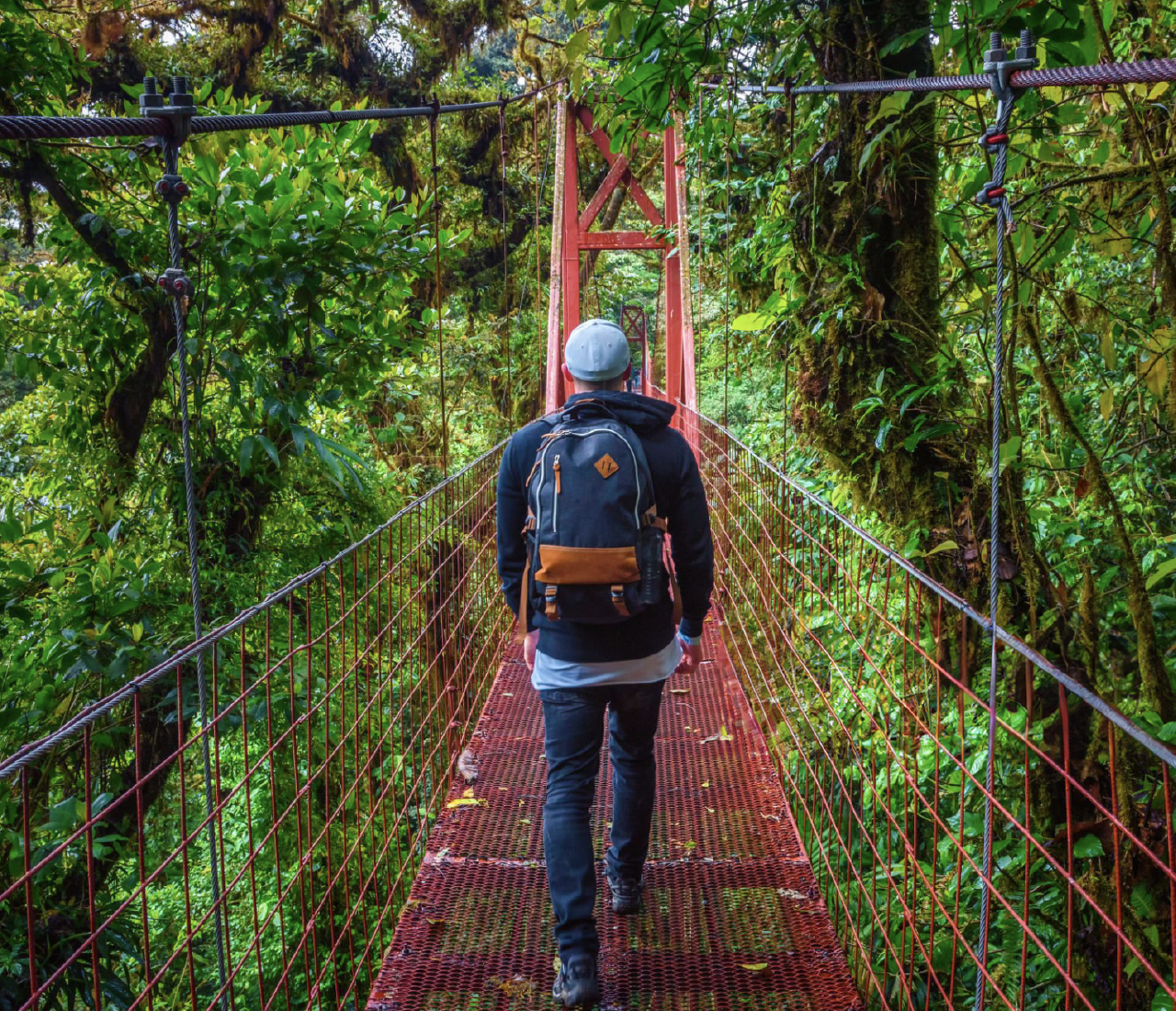 Shared Shuttle: La Fortuna to Monteverde