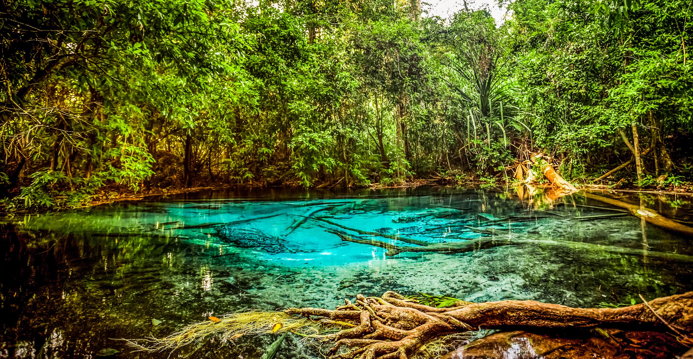 Krabi Nature & Temples Day Tour: Emerald Pool, Hot Springs & Tiger Cave