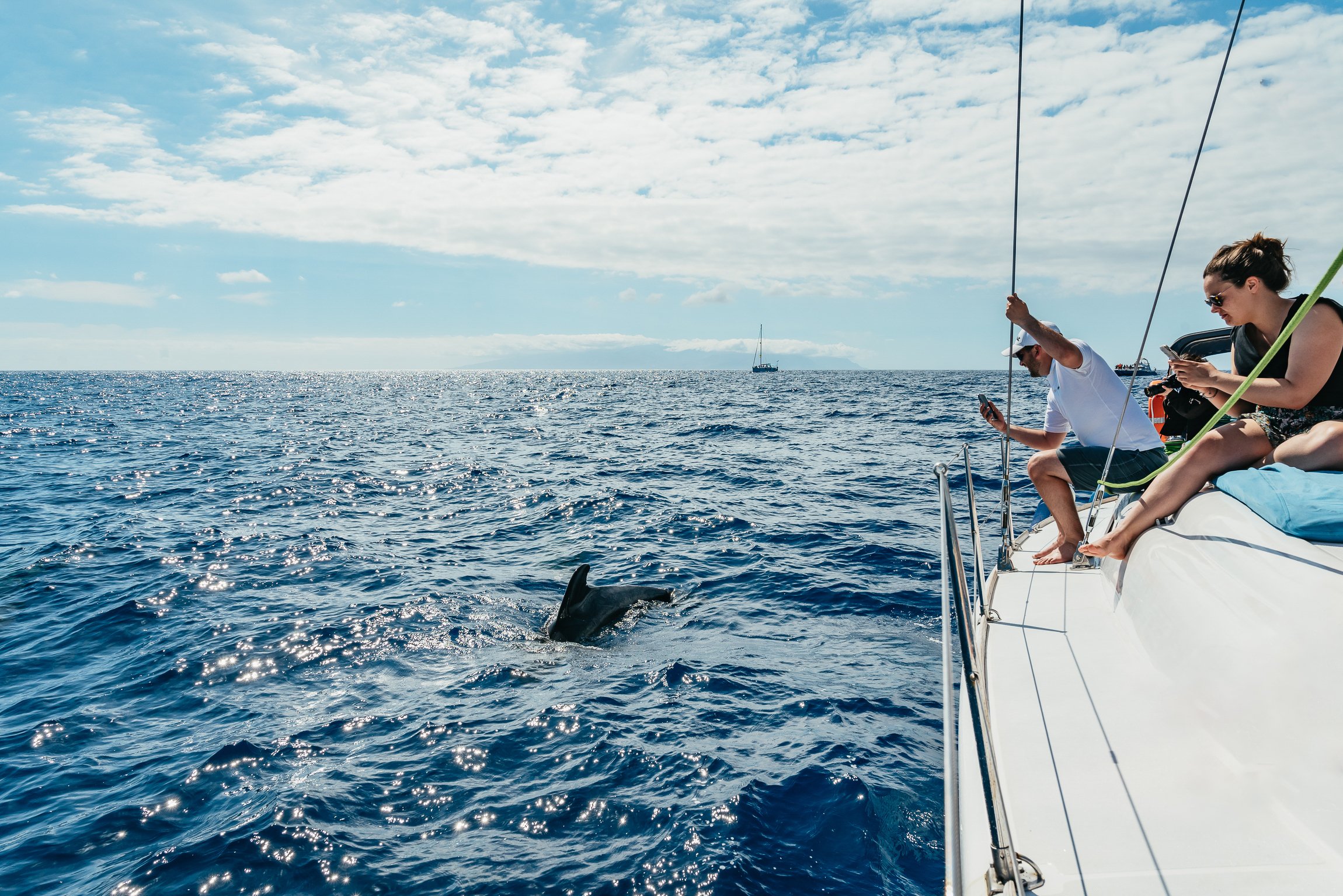 Tenerife Luxury Yacht Cruise: Whale Watching, Snorkeling & Open Bar