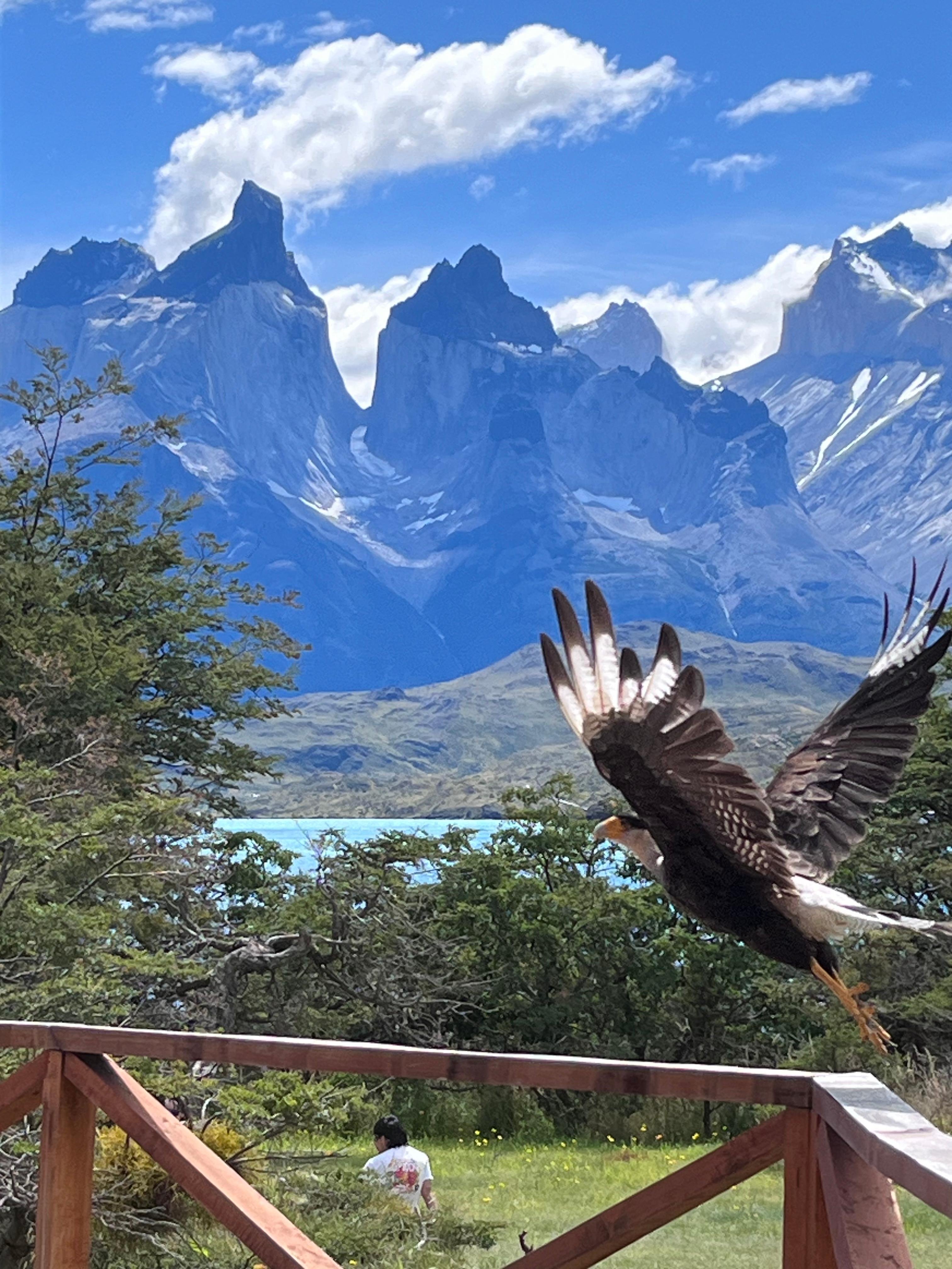 Private Torres del Paine Panoramic Tour (Max 4 Guests)