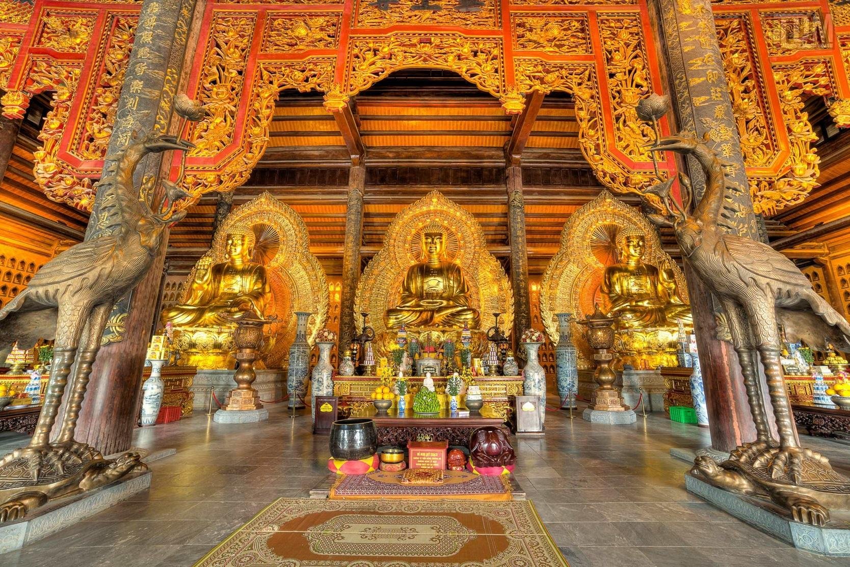 Ninh Binh Day Trip: Trang An, Mua Cave & Bai Dinh Pagoda from Hanoi