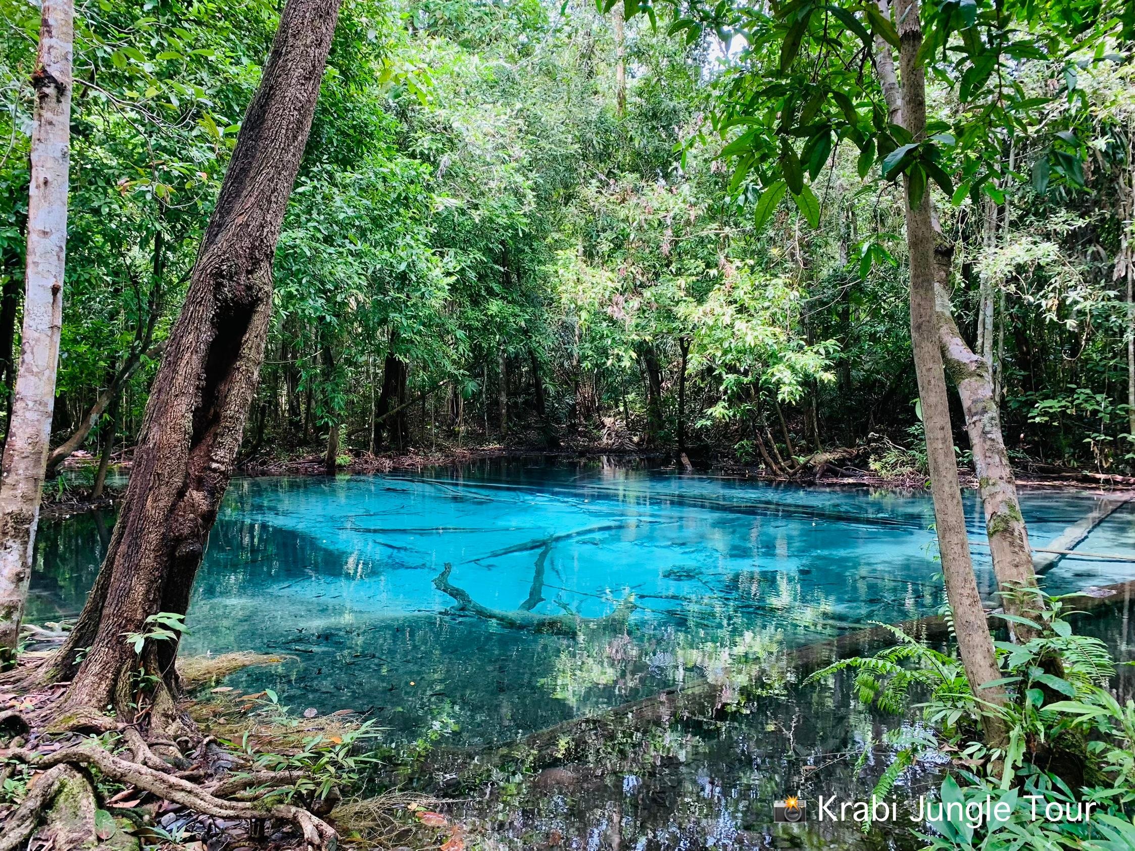 Krabi Jungle Day Tour: Hot Spring, Emerald Pool & Tiger Cave Temple