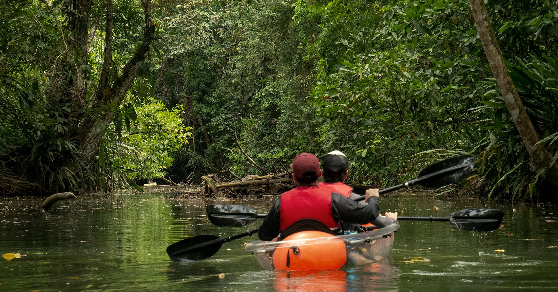 Punta Uva Wildlife Kayaking & Jungle Trail Tour