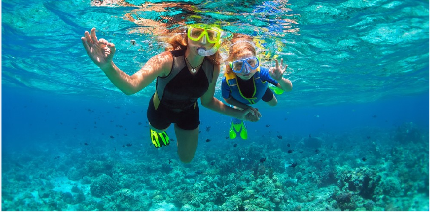 Playa del Carmen Local Reef Snorkel Adventure
