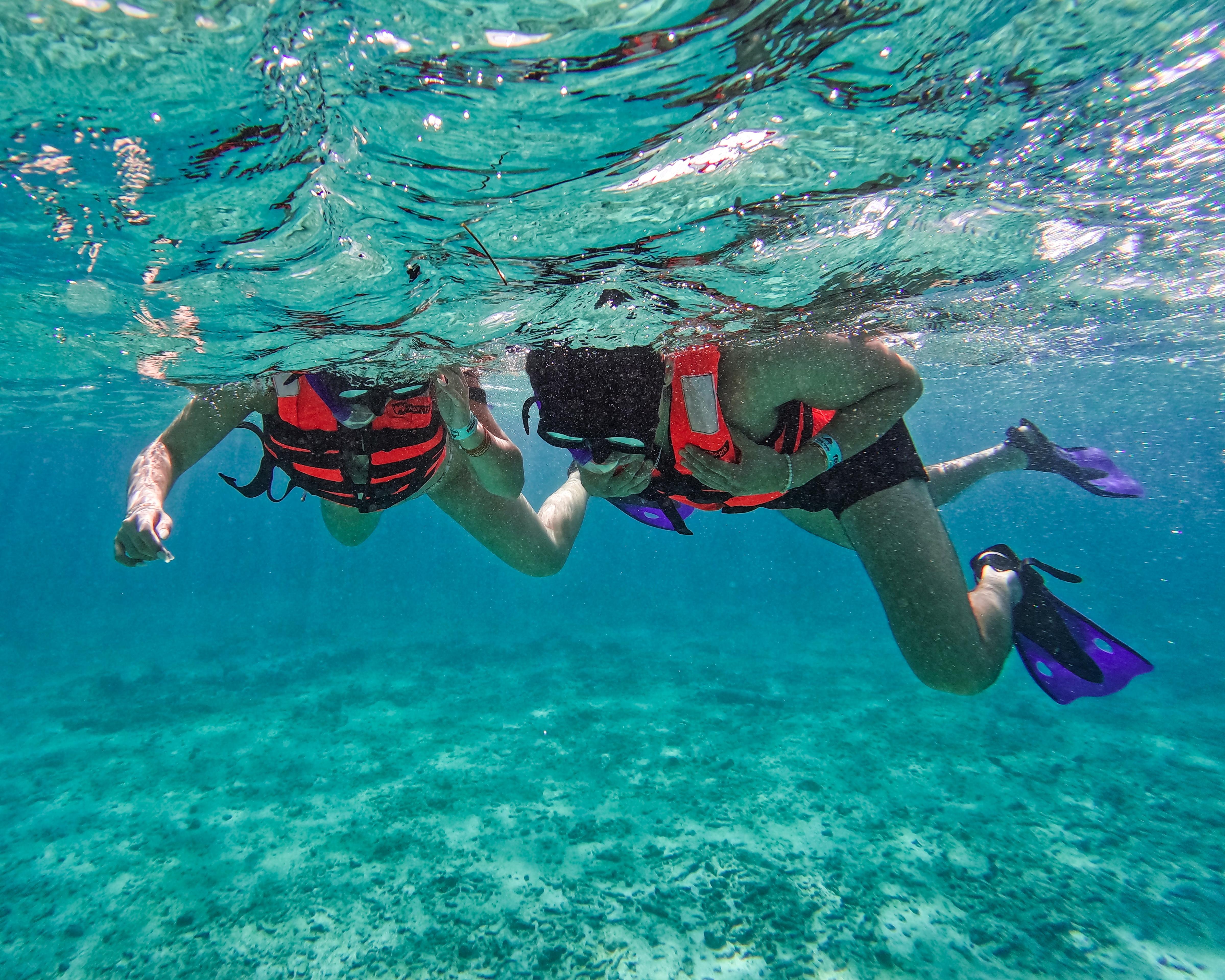 Tulum Reef Snorkeling: Two Sites in Two Hours