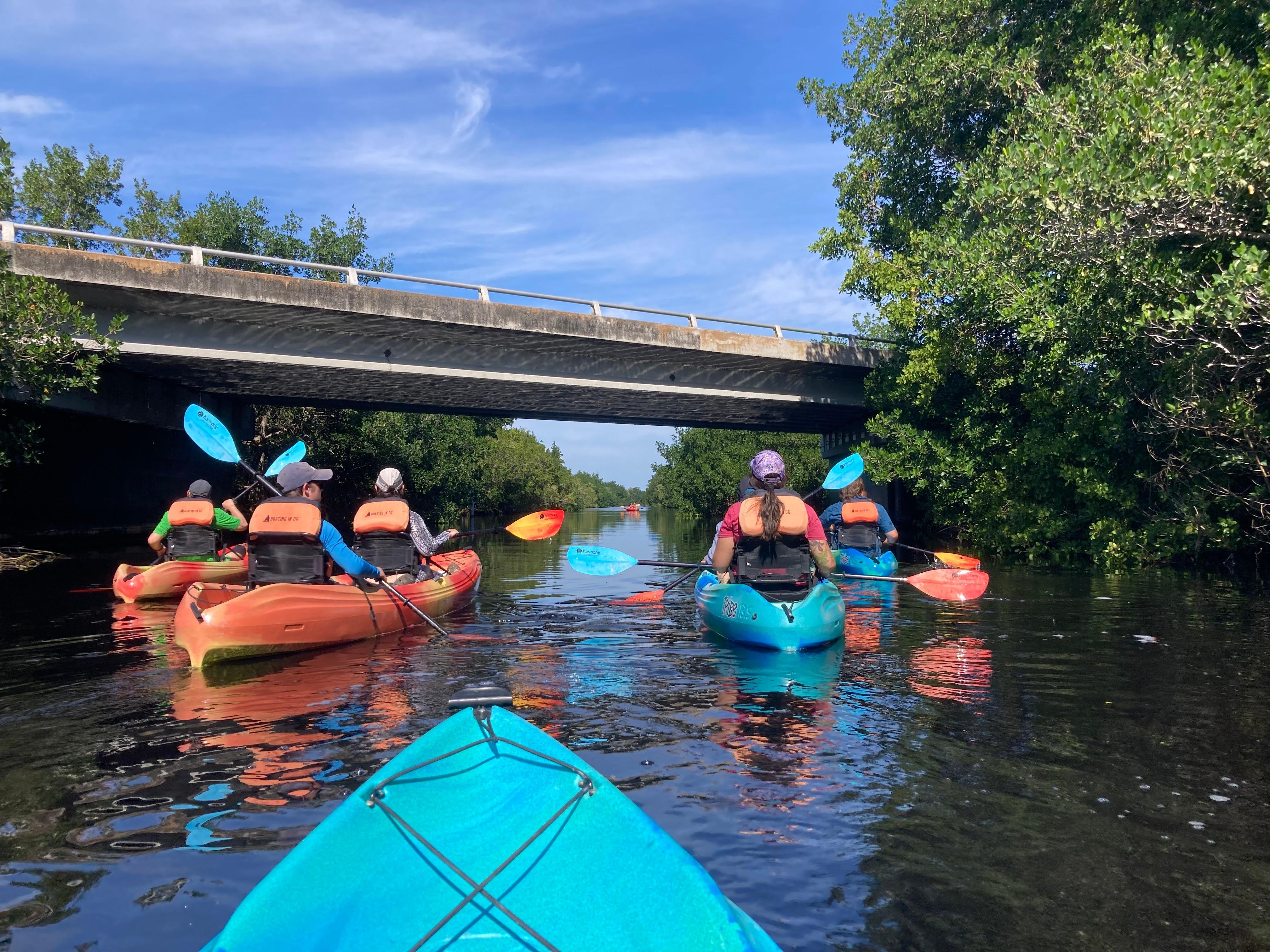 Full-Day Everglades Kayaking & Hiking Expedition from Miami