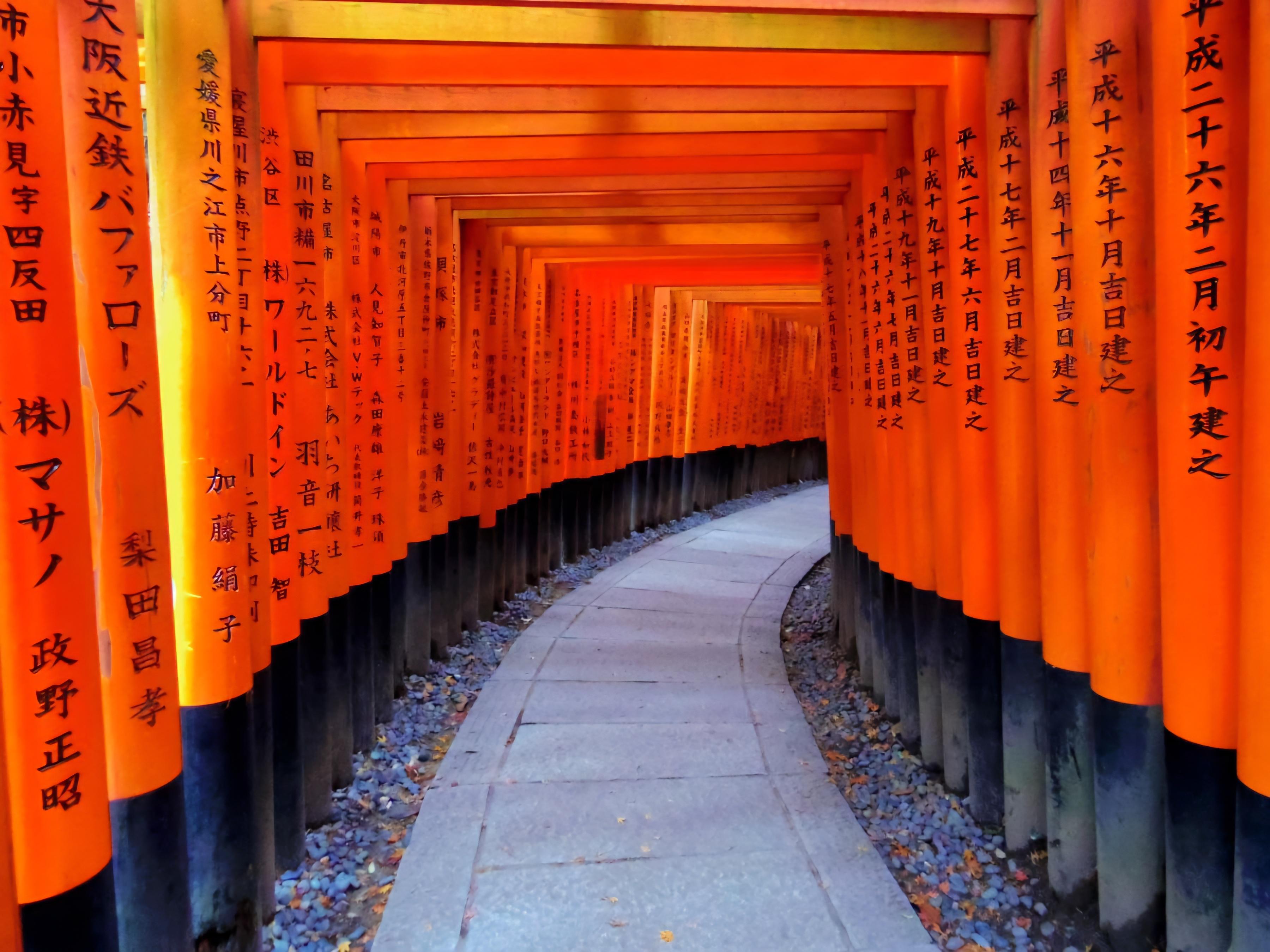 Nara Private Chauffeur Day Tour from Osaka or Kyoto