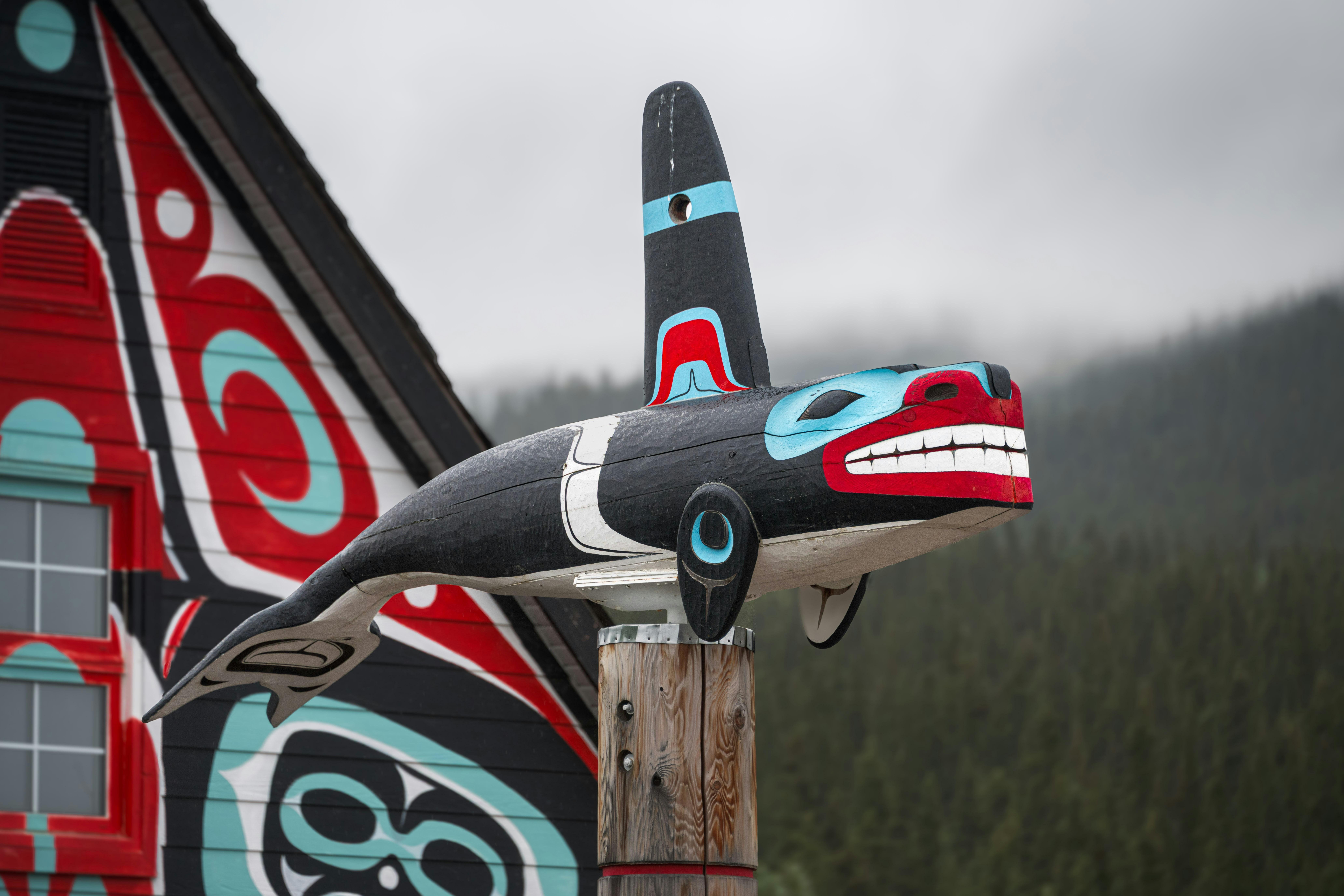 Indigenous-Guided Whale Watching & Tea Experience