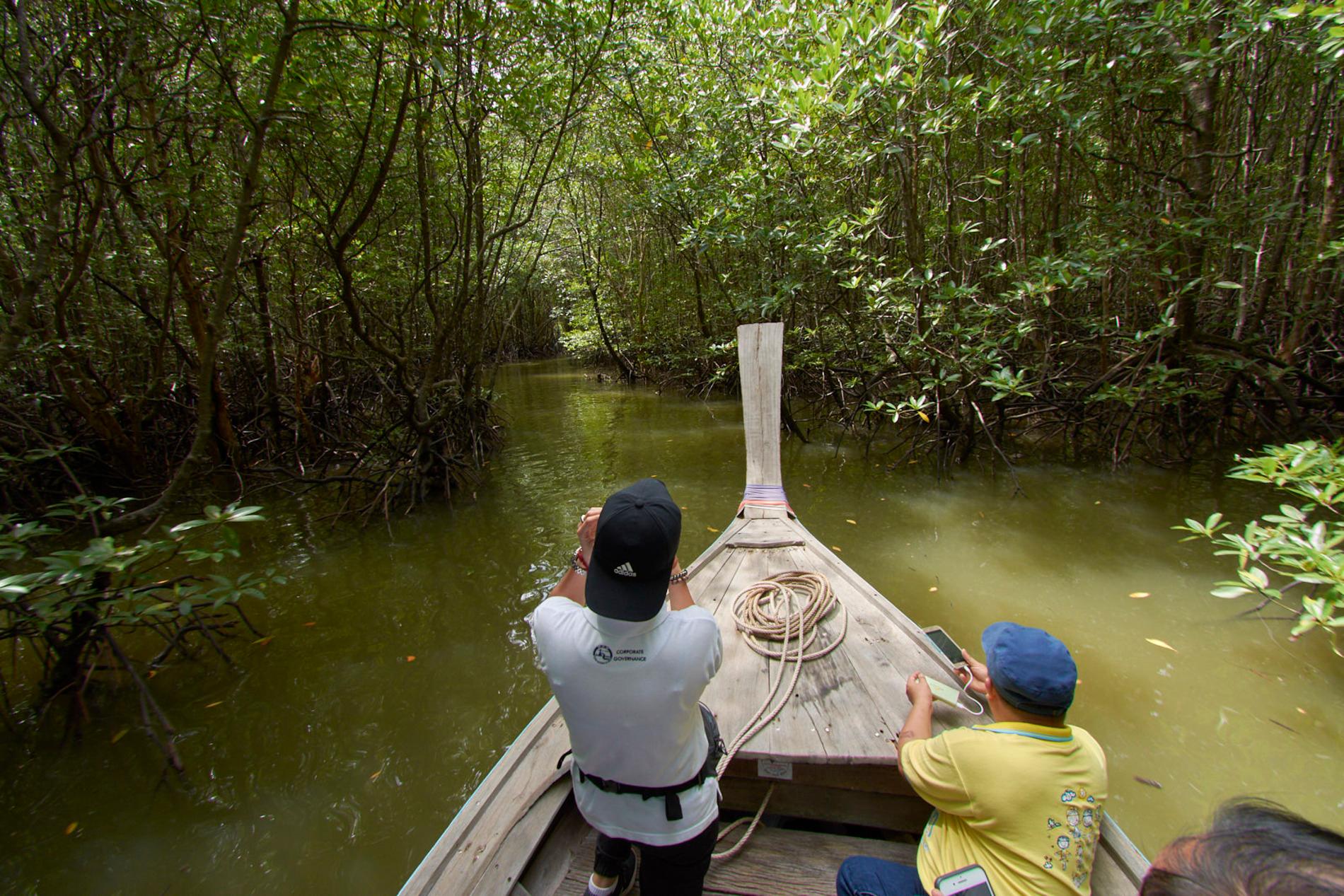 Krabi Private Temple, River & Limestone Cliffs Tour