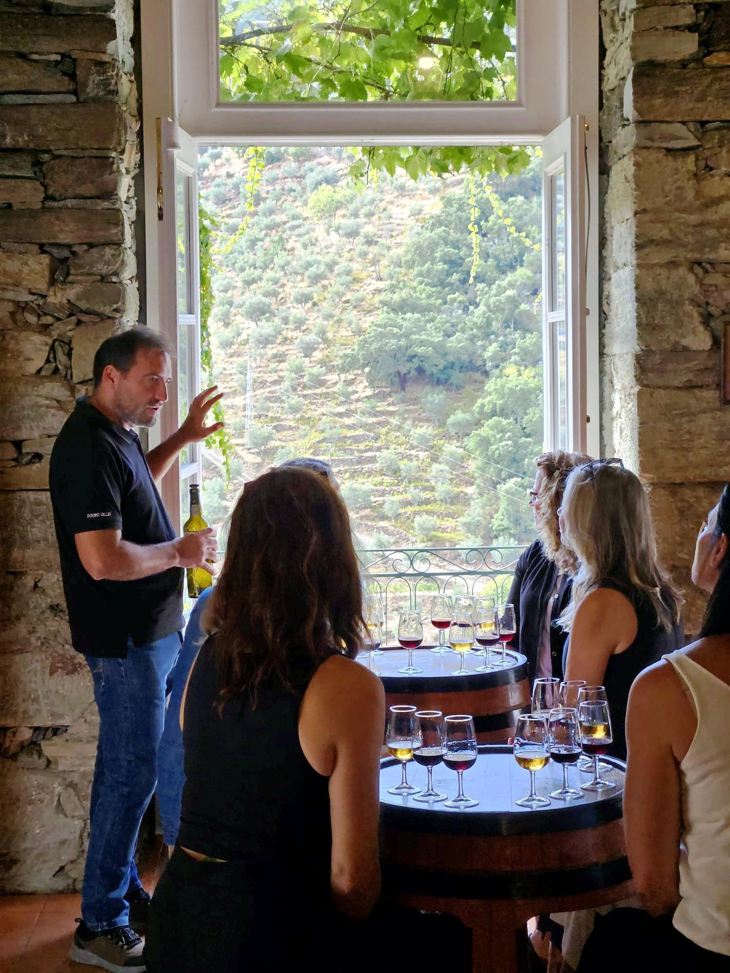 olive oil tasting in Douro Valley — photo 3