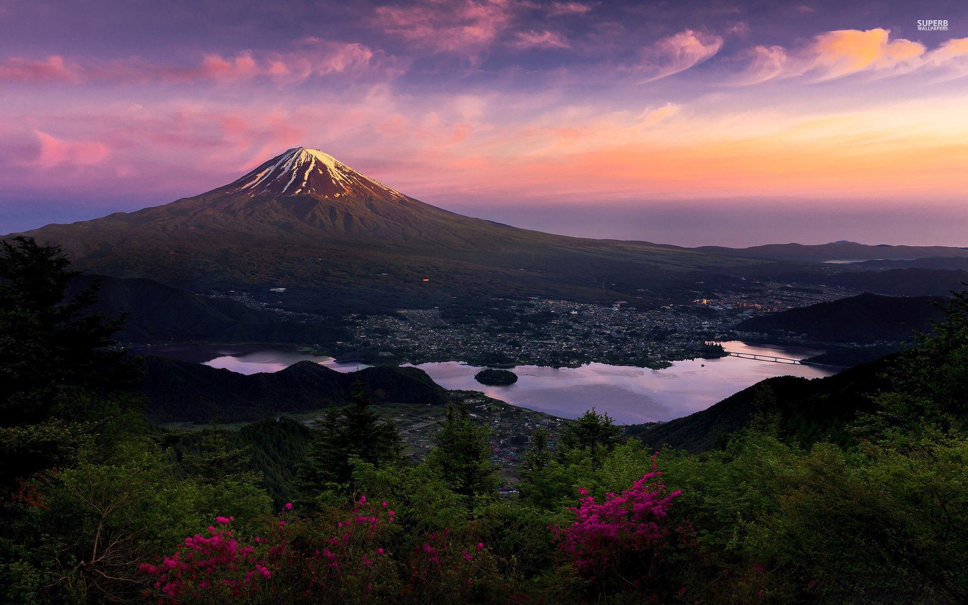 Mount Fuji Private Day Tour from Tokyo with English Guide