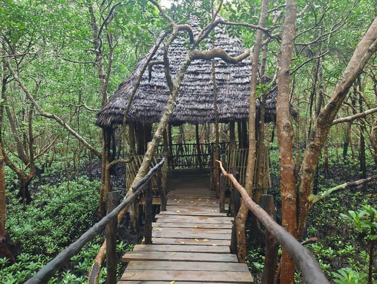 Zanzibar: Jozani Forest, Butterfly Centre & Rock Restaurant Day Tour