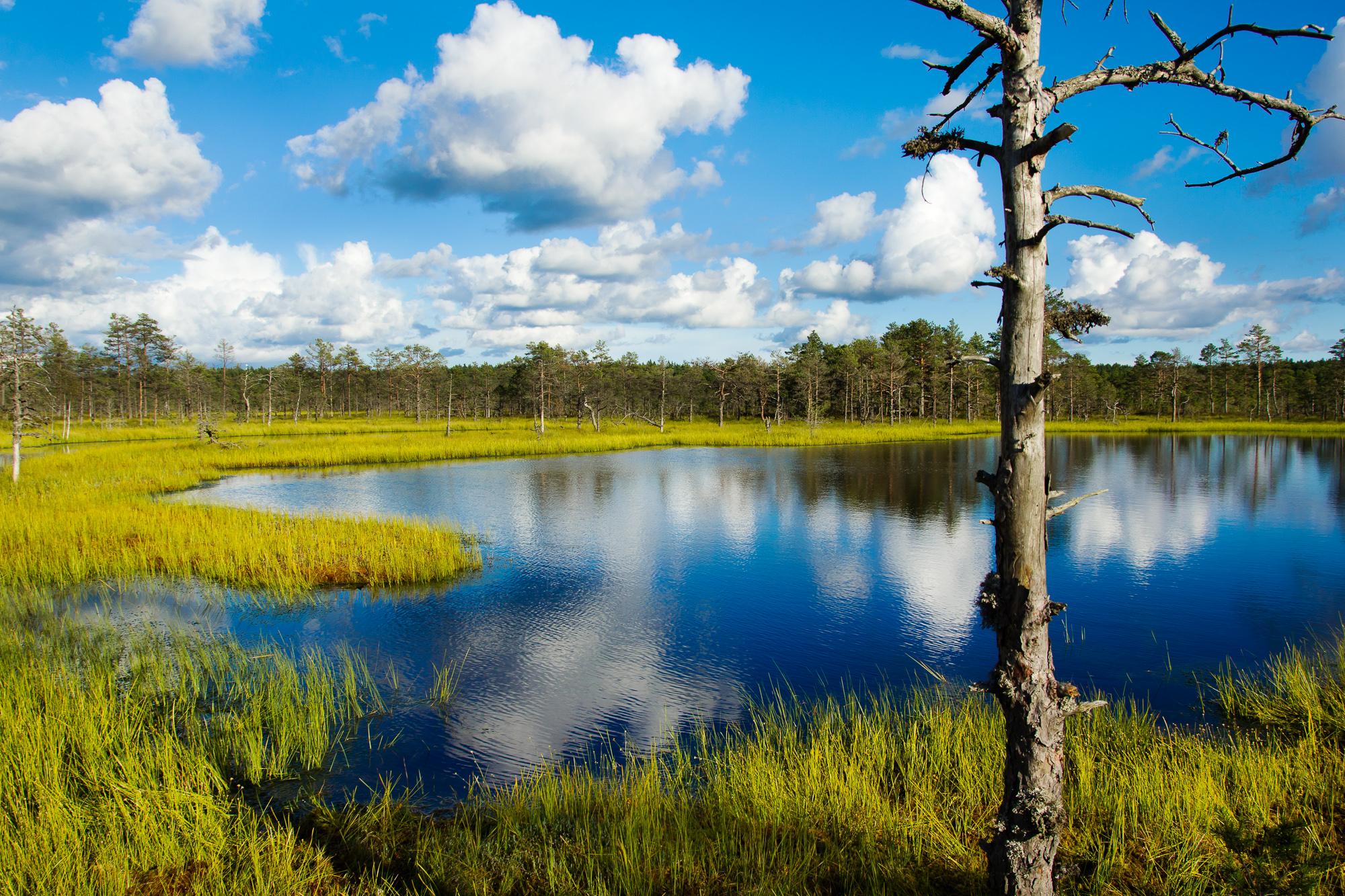 Estonian Countryside & Lahemaa National Park Day Tour