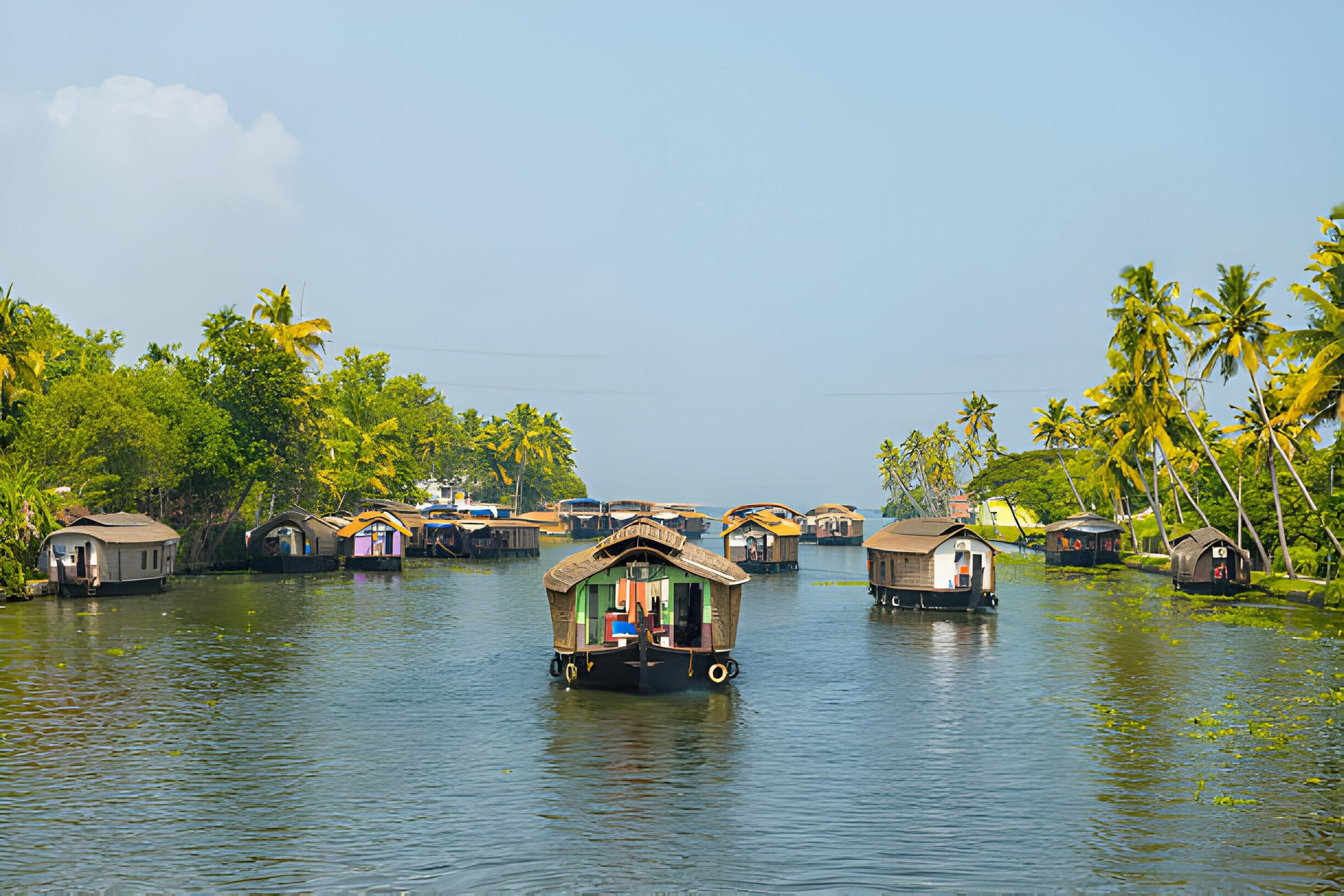 Alleppey Backwater Houseboat Experience with Lunch