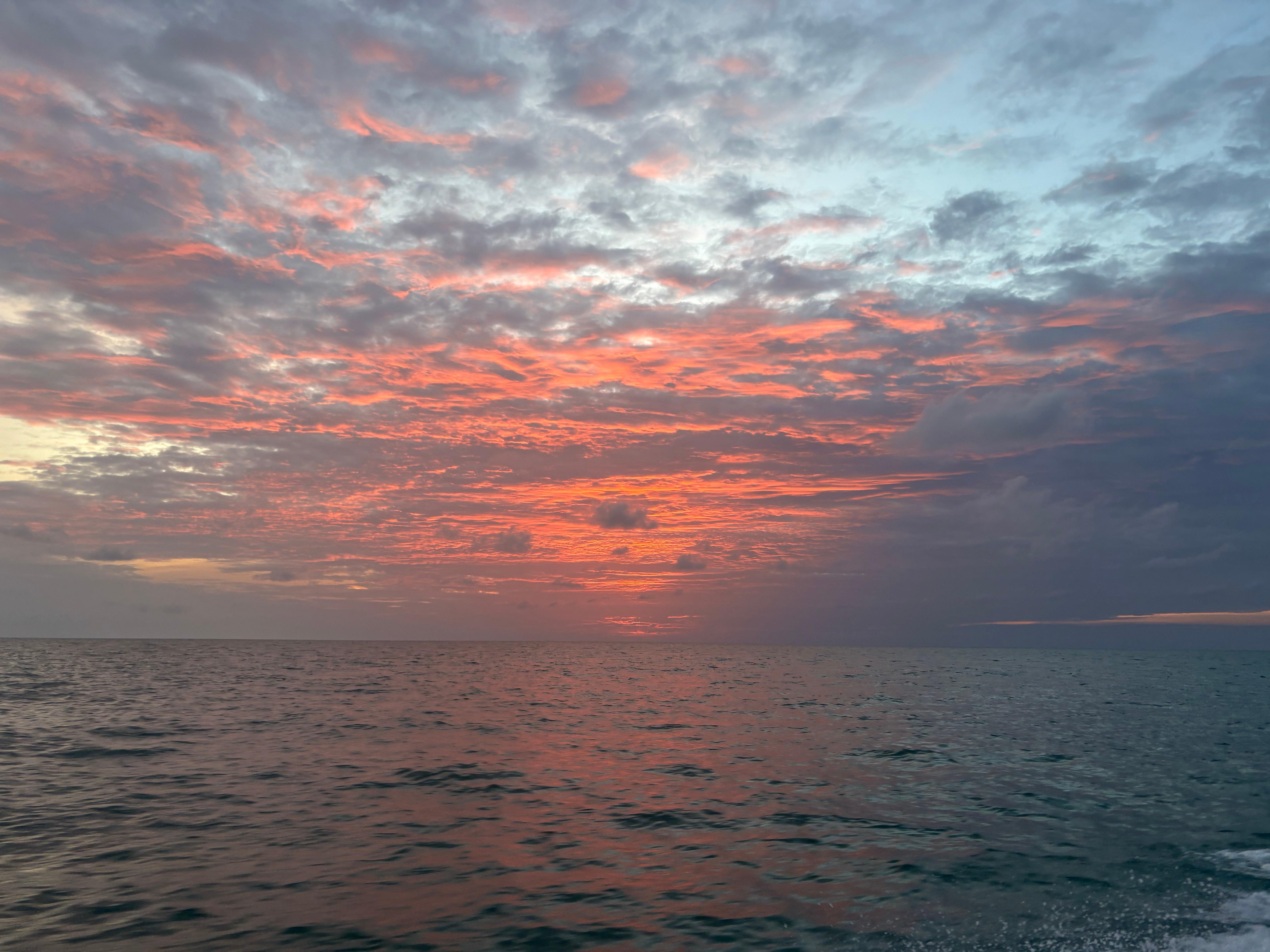 Anna Maria Island Sunset Wildlife Cruise