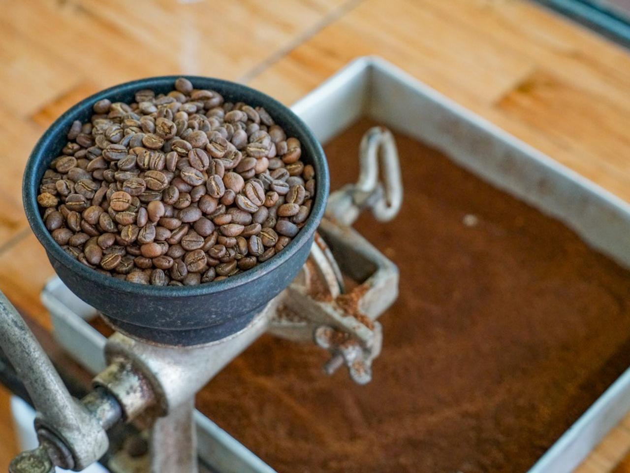 La Fortuna: North Fields Coffee & Chocolate Farm Tour