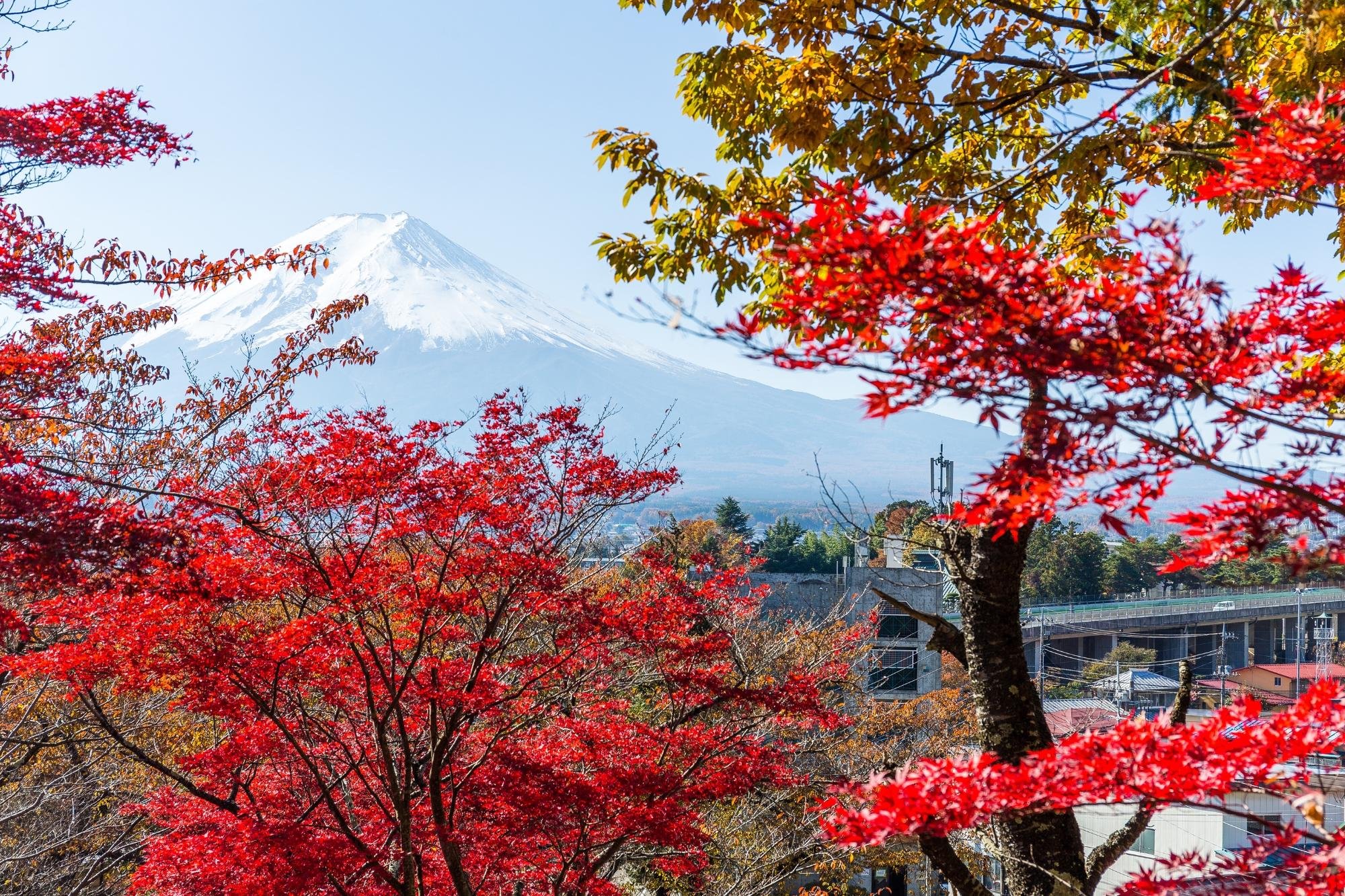 Mt. Fuji, Hakone & Arakura Pagoda Full-Day Tour from Tokyo