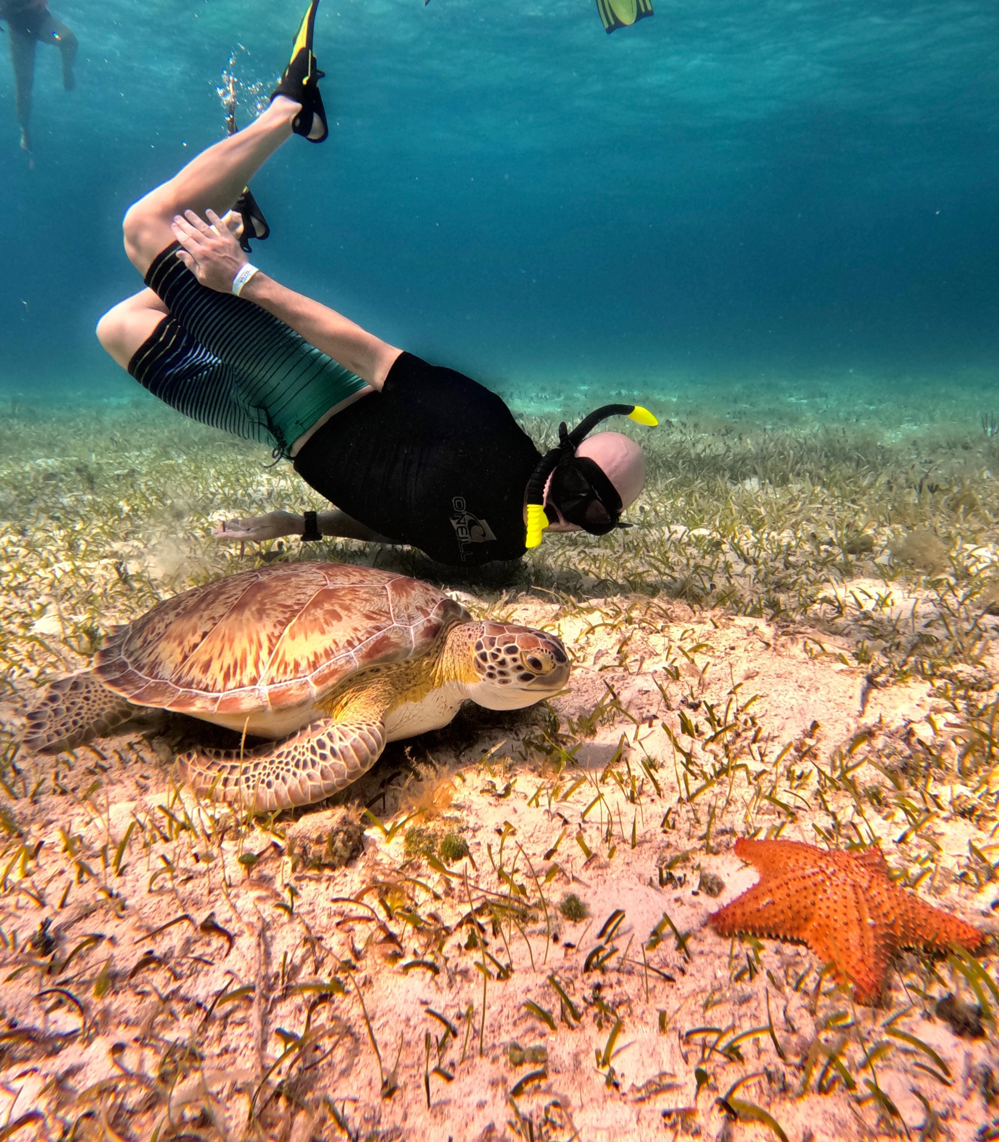 Cozumel Reef & Turtle Snorkel Adventure