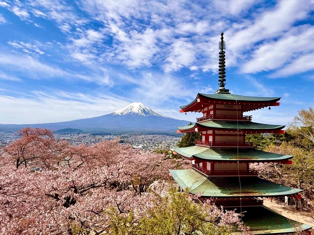 Private Mount Fuji Custom Day Trip from Tokyo