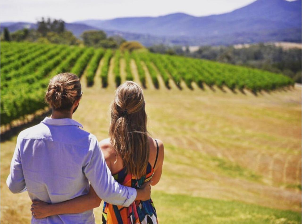 Yarra Valley Gourmet Tasting & Kangaroo Sunset Safari