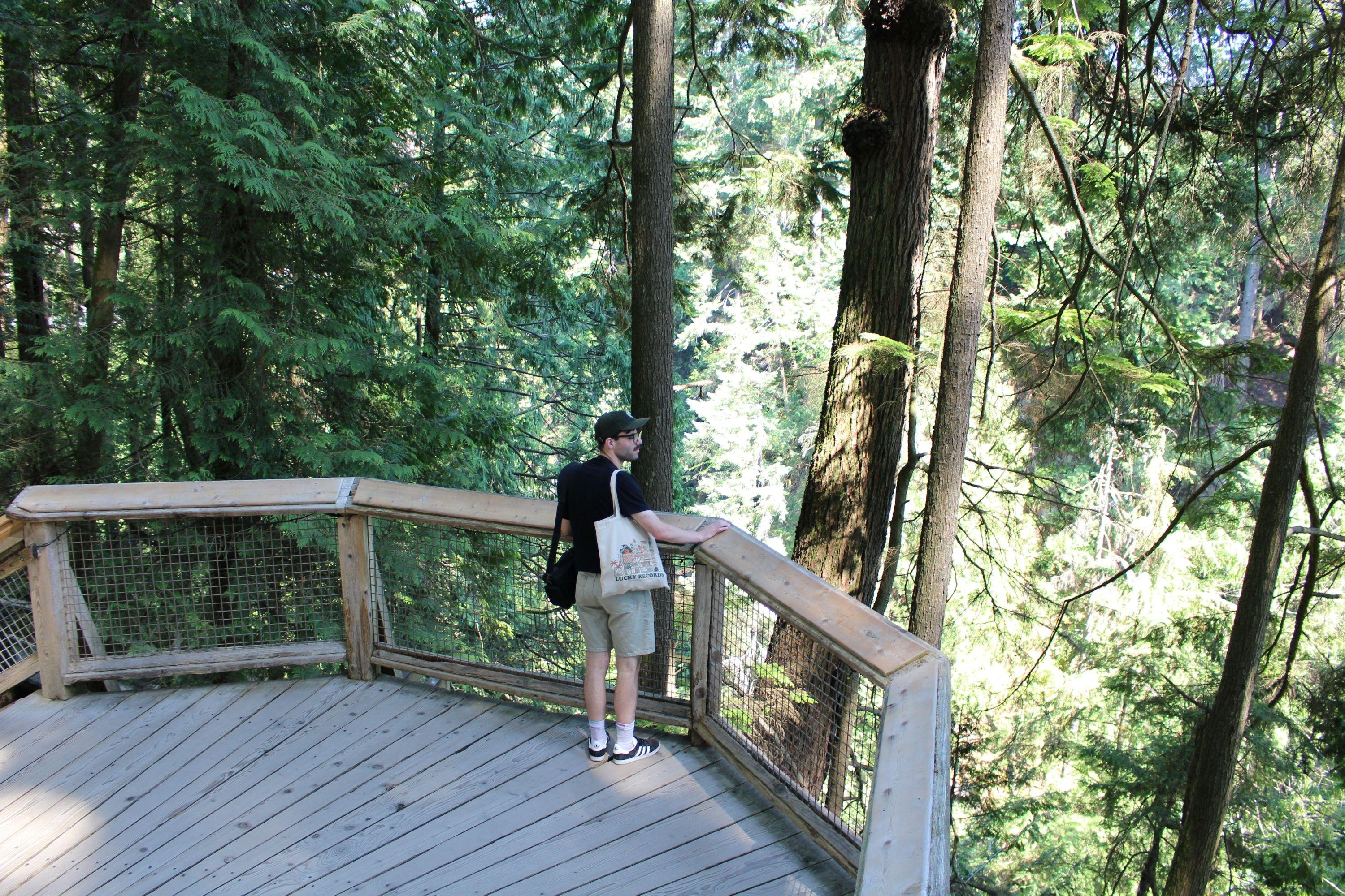 Vancouver Highlights: City Tour, Capilano Bridge & Granville Island