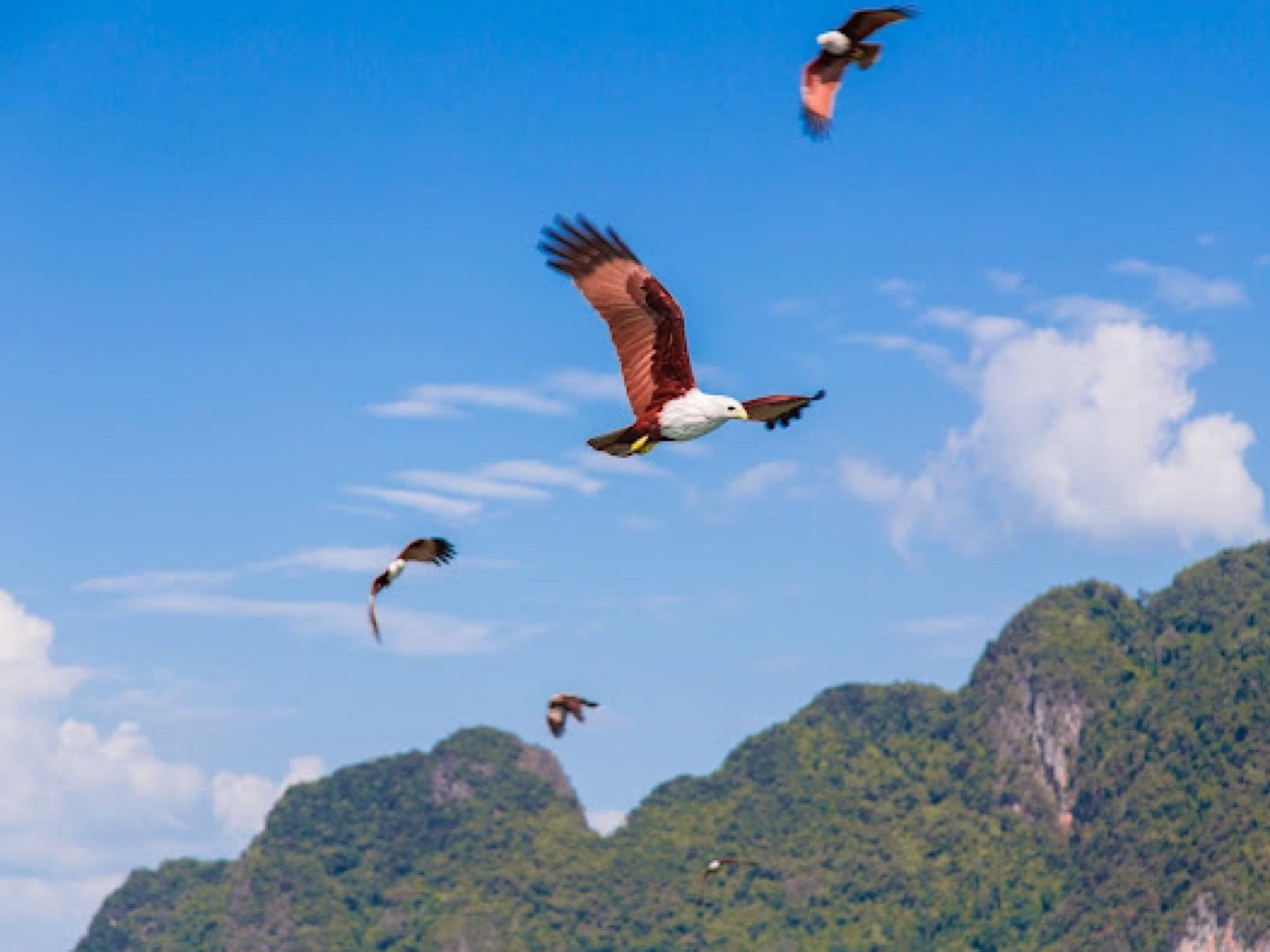 Phang Nga Bay Bioluminescent Plankton Canoe Day Trip from Phuket