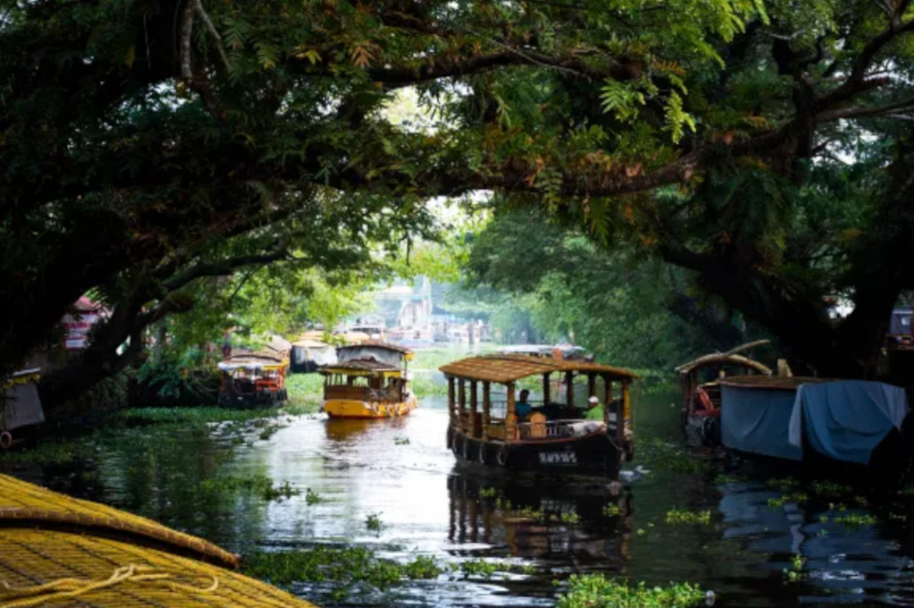 Alappuzha Backwaters Shikara Experience
