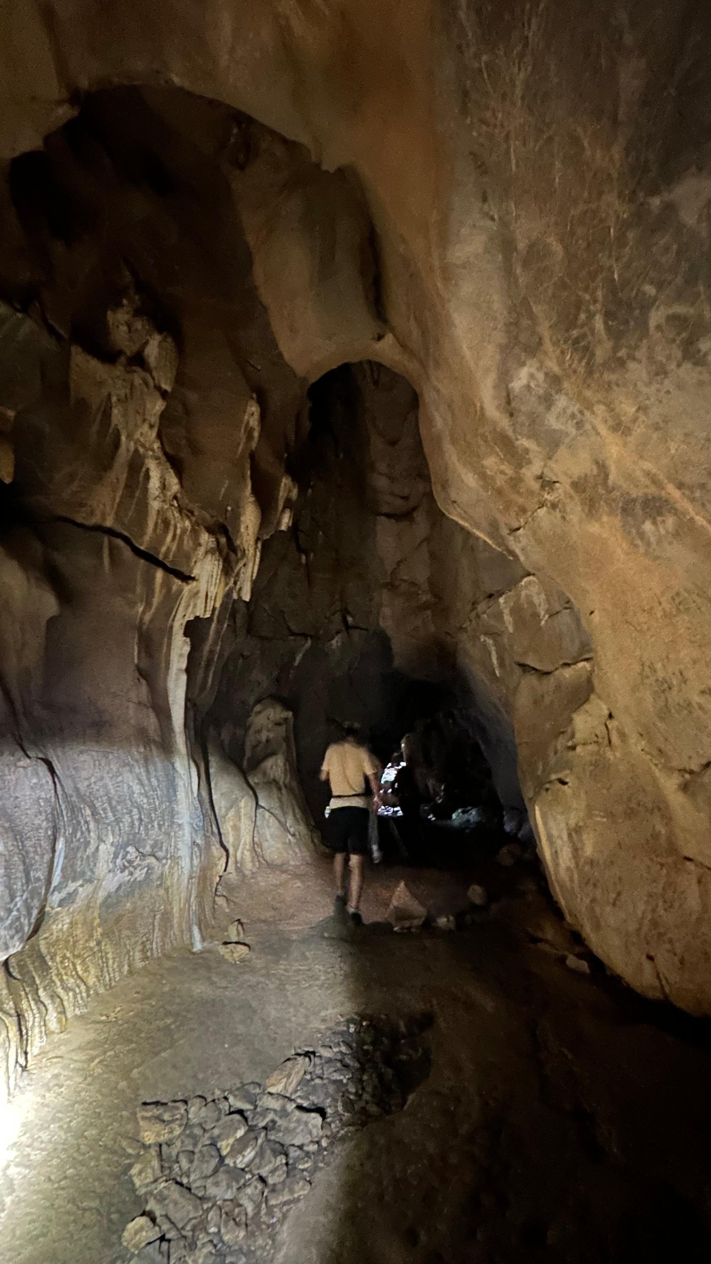 Cuc Phuong National Park Day Trek & Bear Sanctuary from Ninh Binh