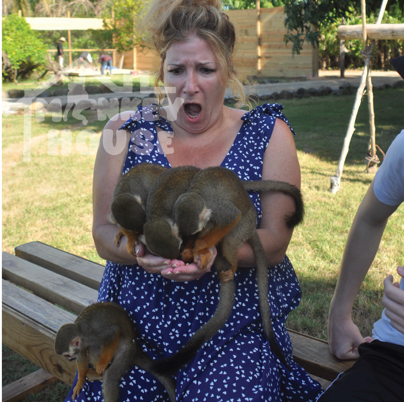 Monkey House VIP – Punta Cana Nature & Wildlife Experience