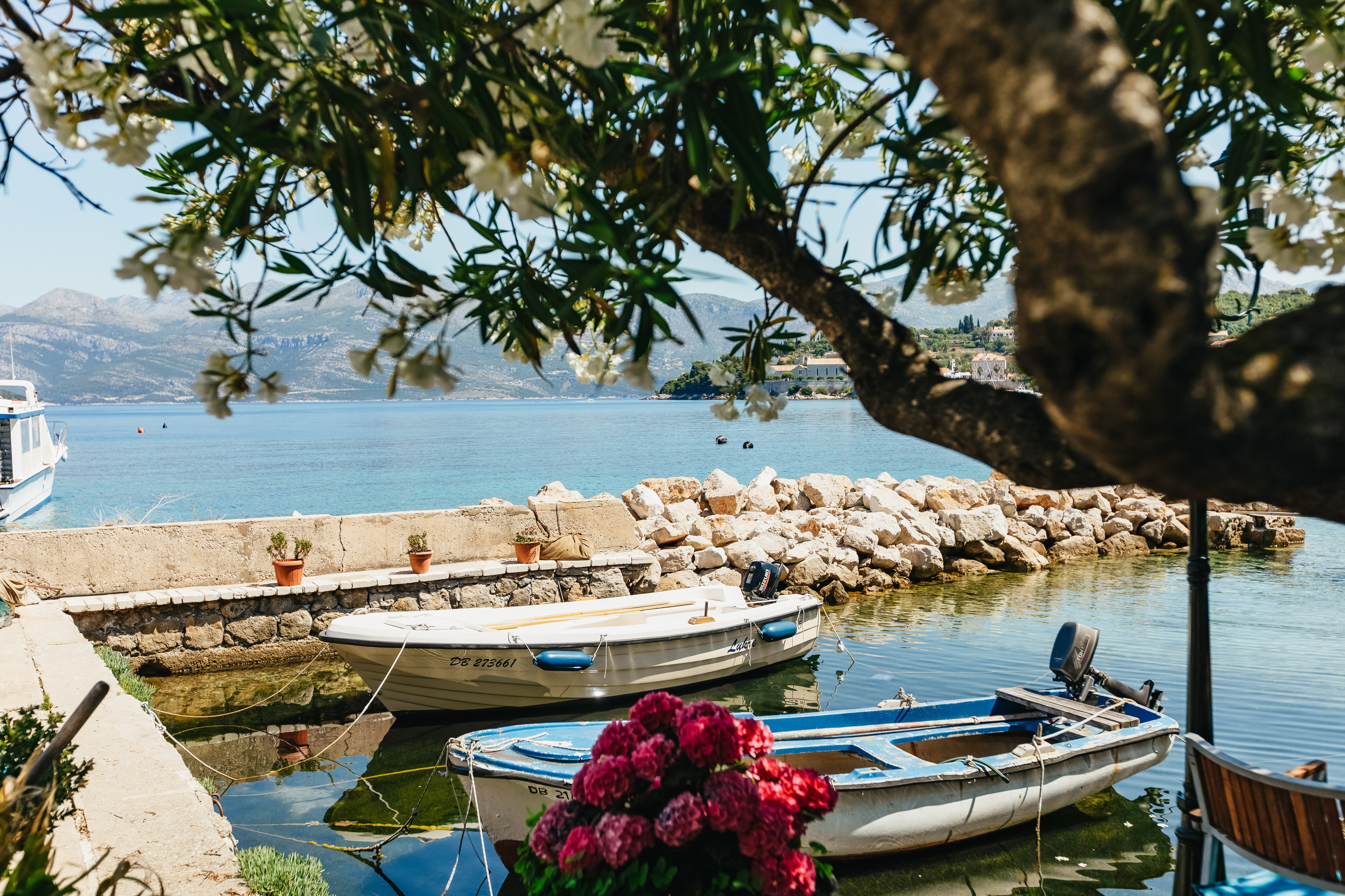 Elaphite Islands Day Cruise from Dubrovnik with Drinks & Optional Lunch
