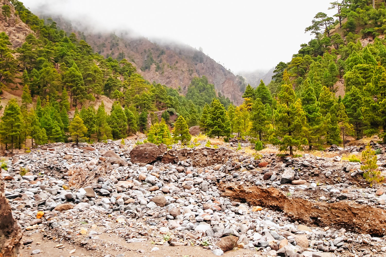 Caldera de Taburiente Guided Hiking Adventure
