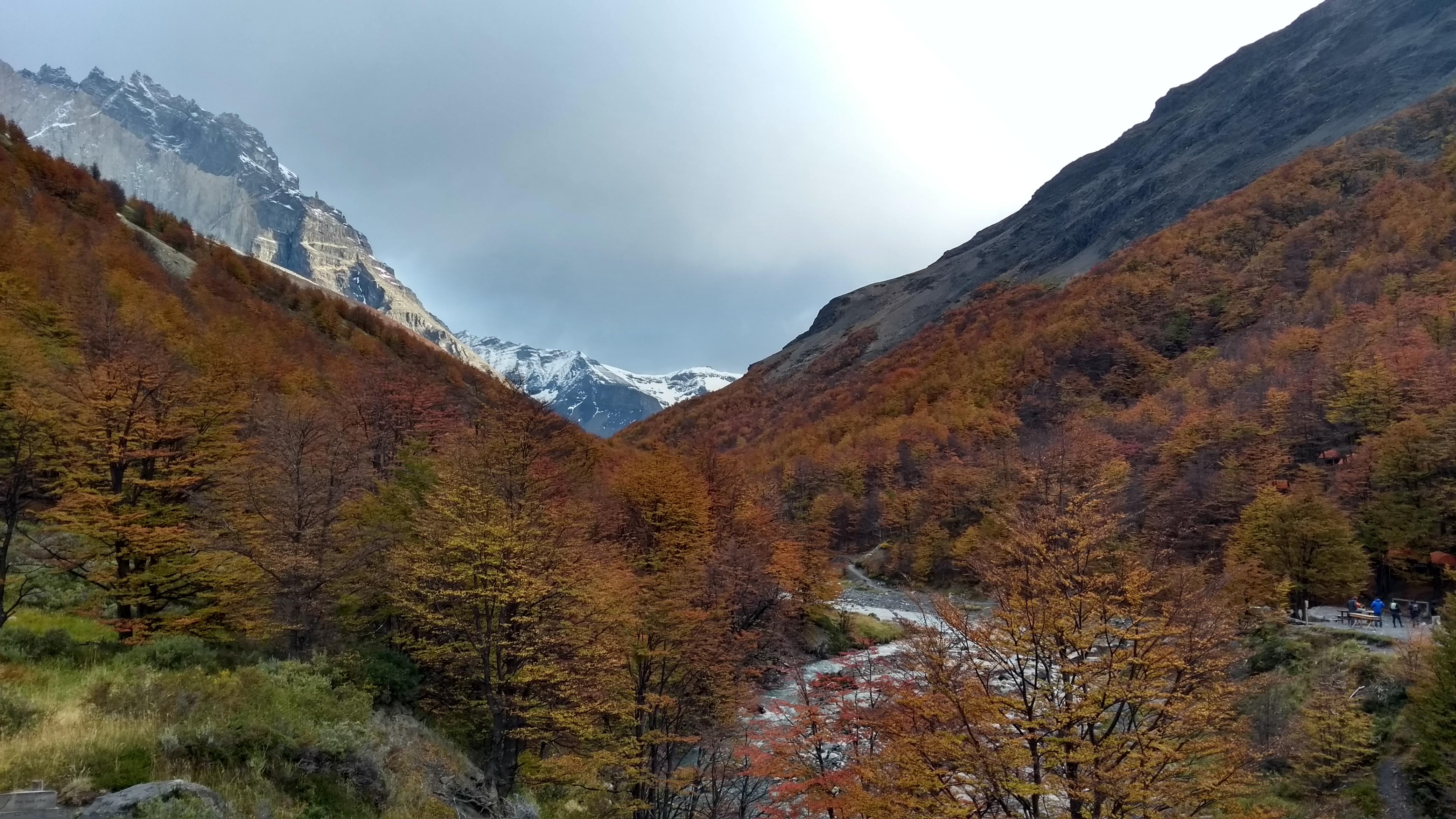 Private Full-Day Las Torres del Paine Expedition