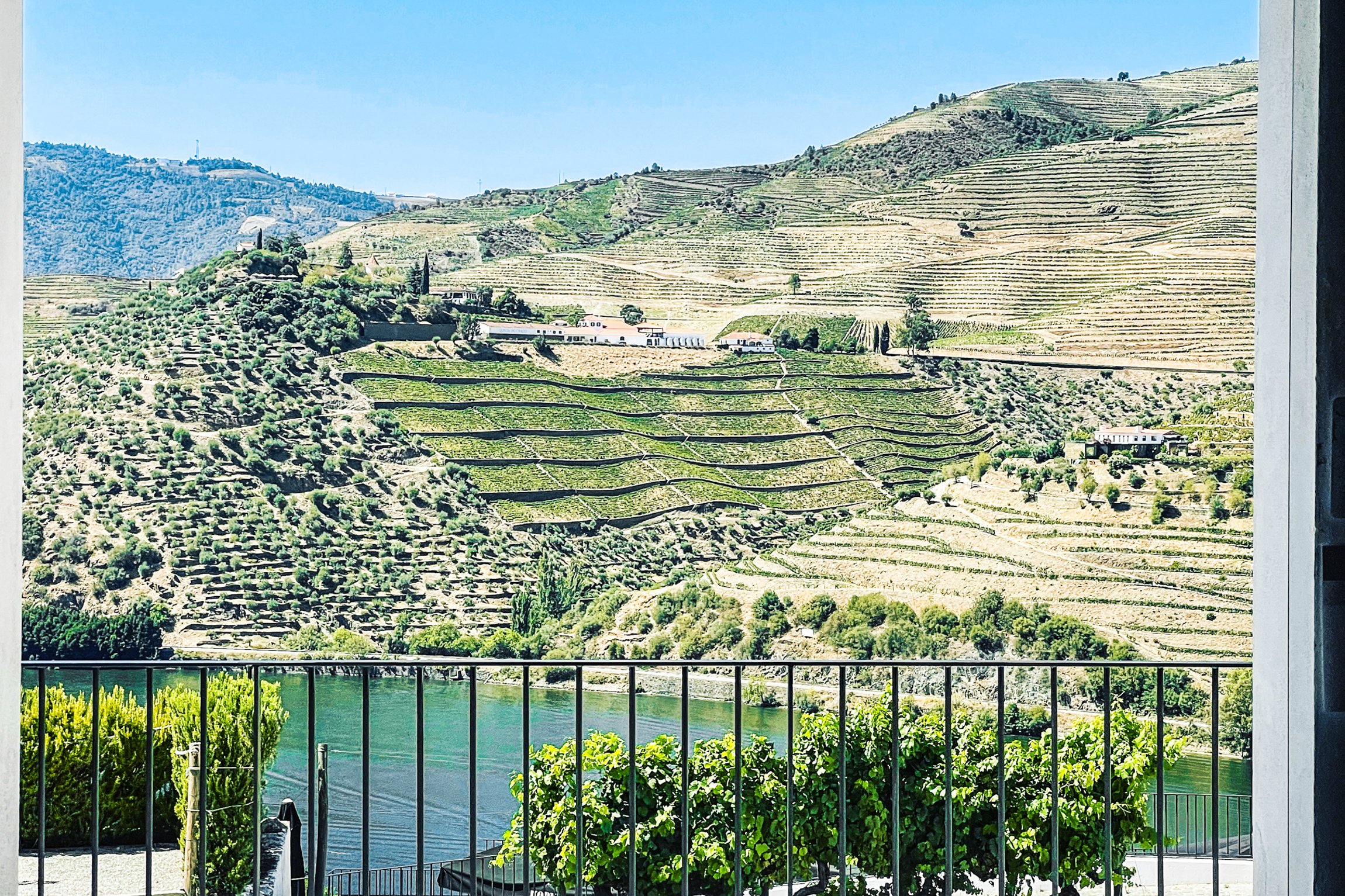 Douro Valley Day Trip: Boat Cruise, Wine Tasting & Traditional Lunch from Porto