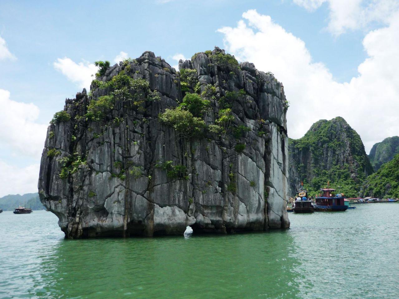 Ha Long Bay Day Trip from Hanoi: Luxury or Standard Cruise with Lunch