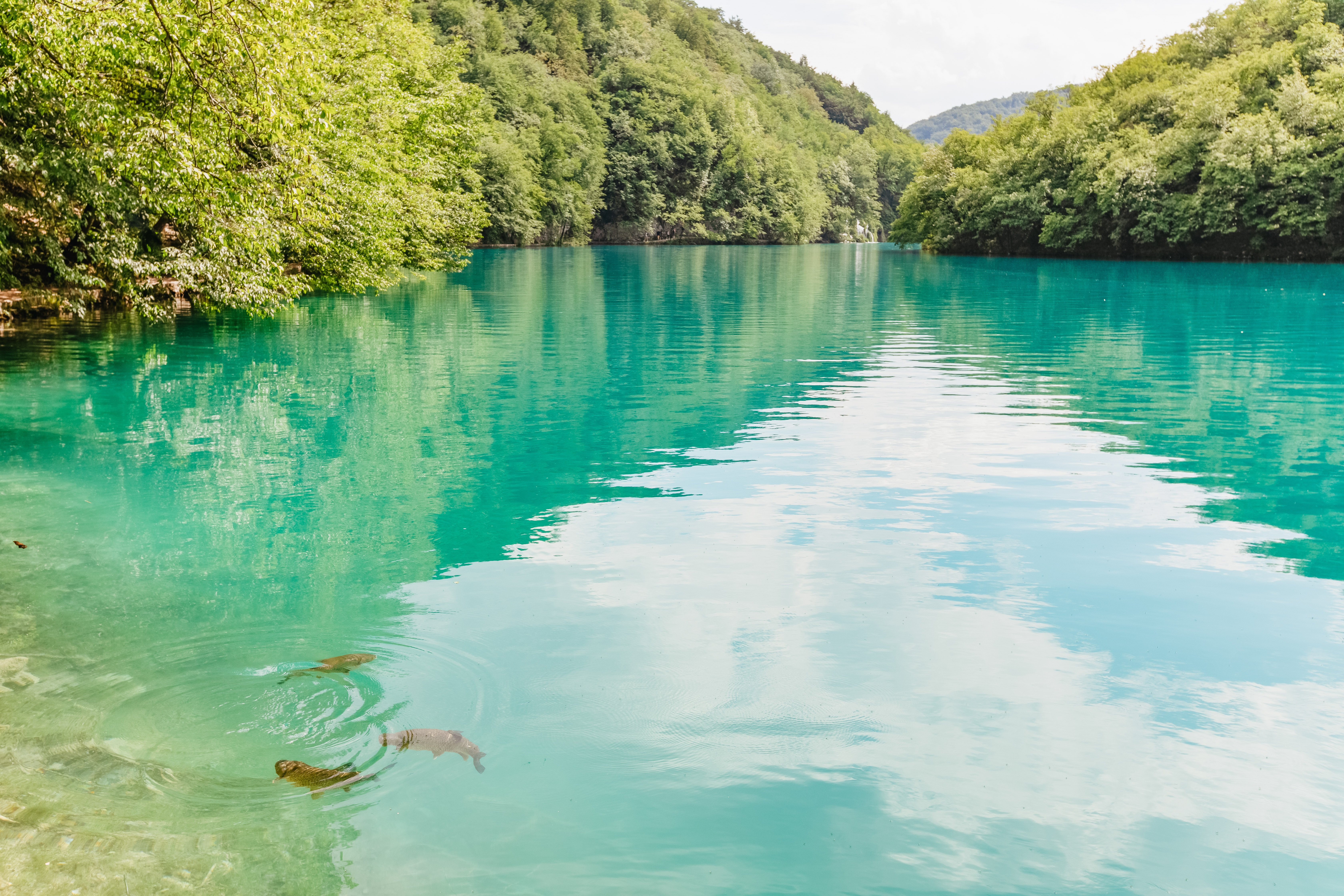 Split to Plitvice Lakes National Park Guided Day Trip