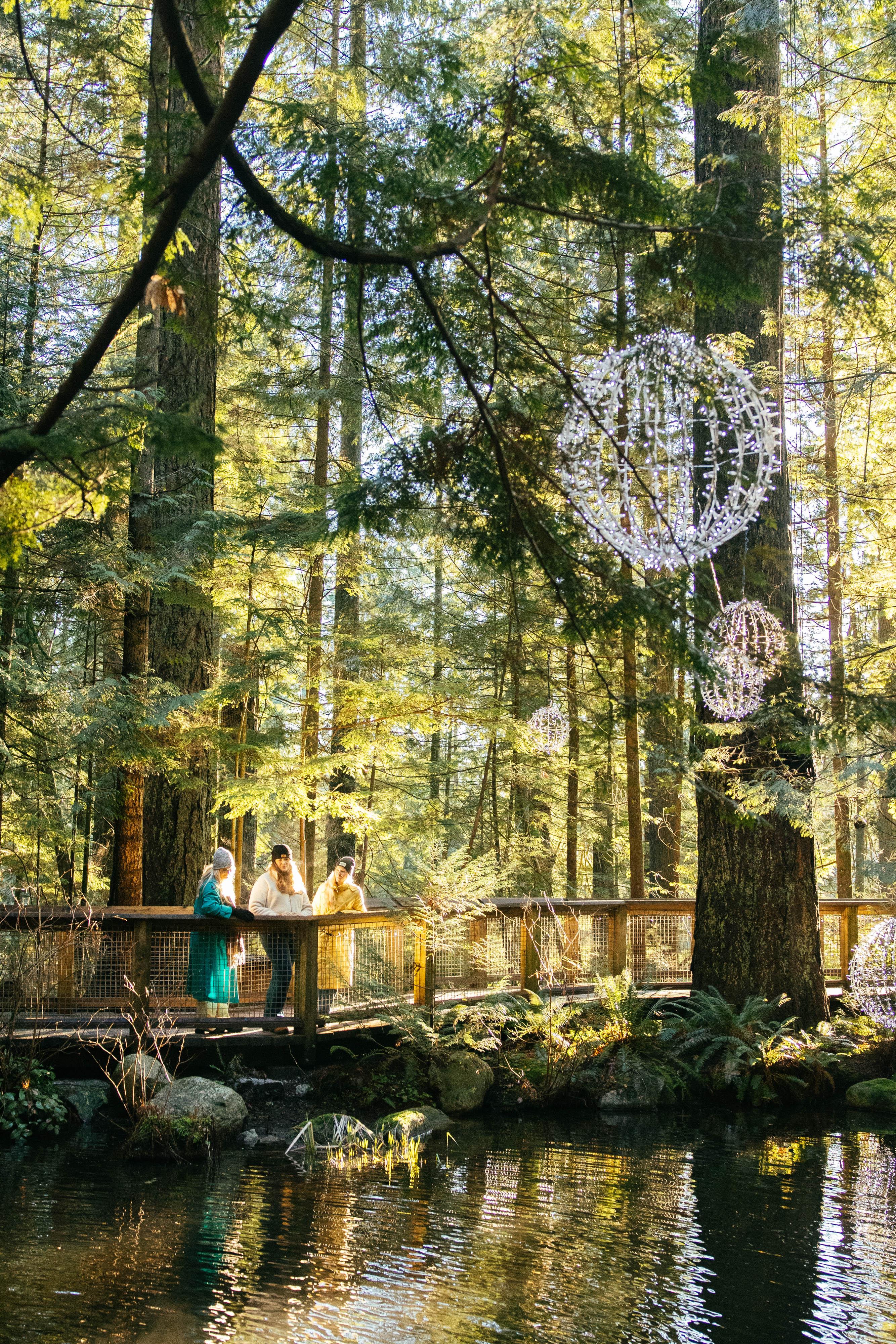 Capilano Suspension Bridge Park Entry
