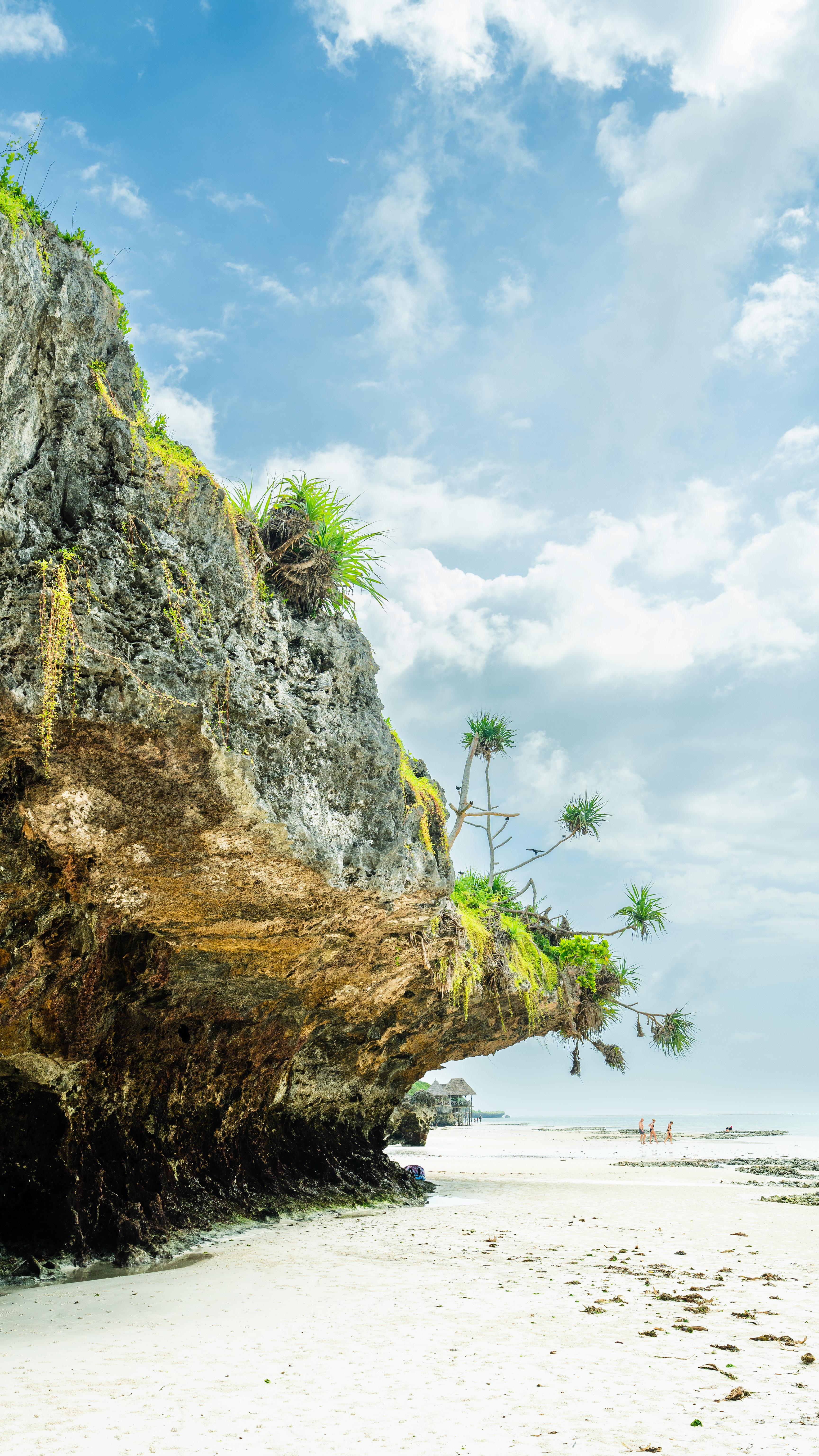 Zanzibar Hidden Gems: Secret Beach, Kuza Cave & Jozani Forest