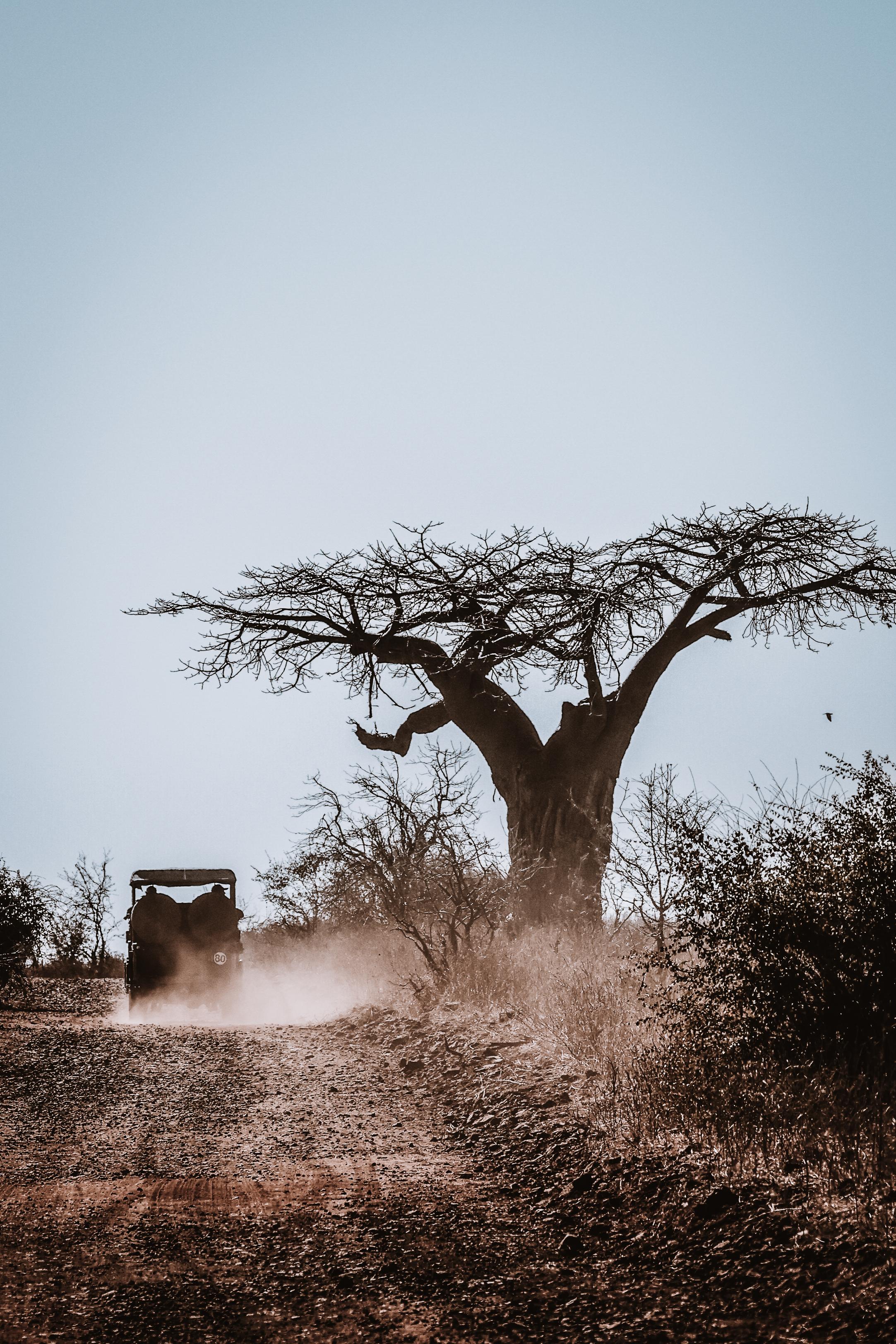 Private Chobe National Park Game Drive
